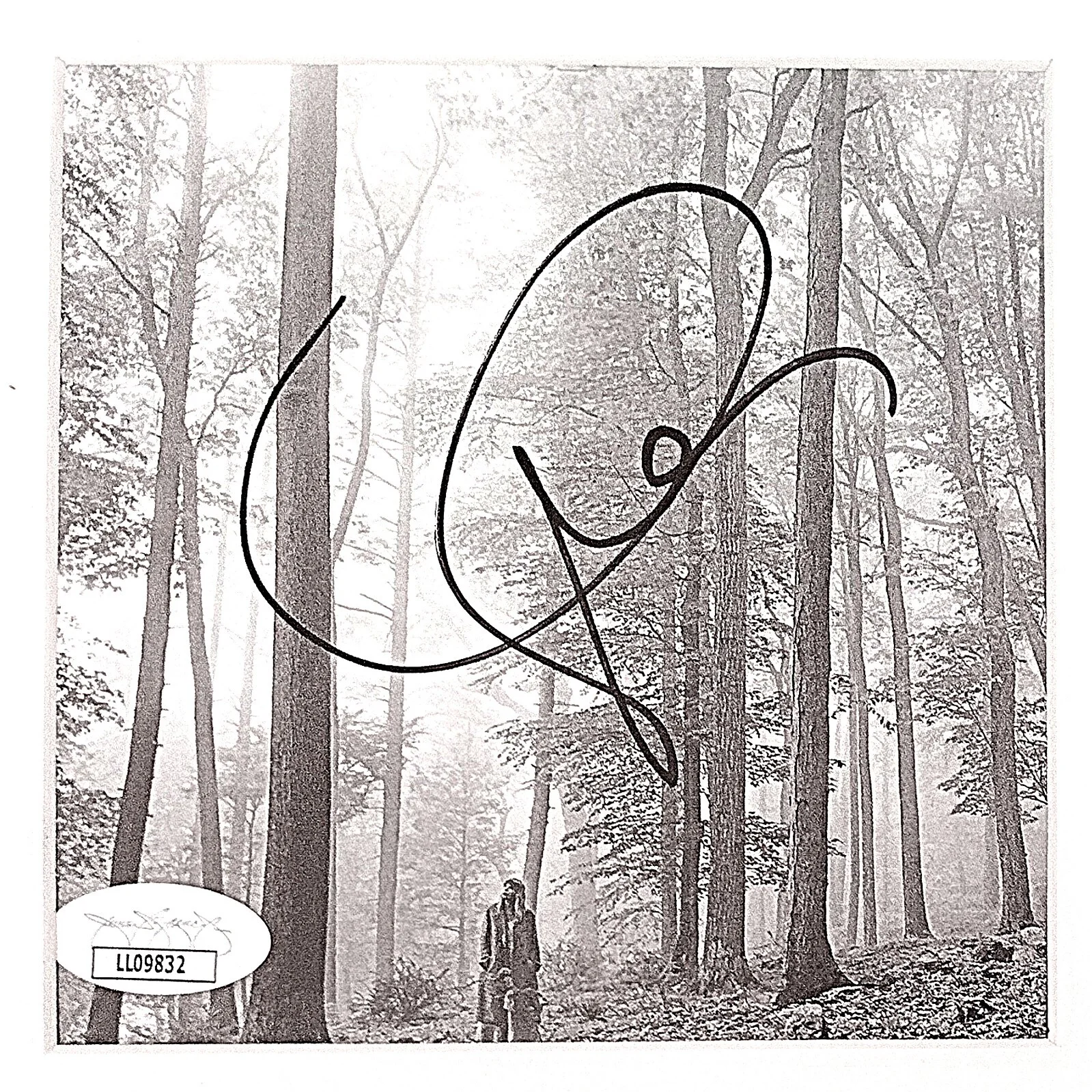 Taylor Swift — Taylor Swift Signed CD Folklore Album Cover Framed JSA Authenticated Autograph, image 2