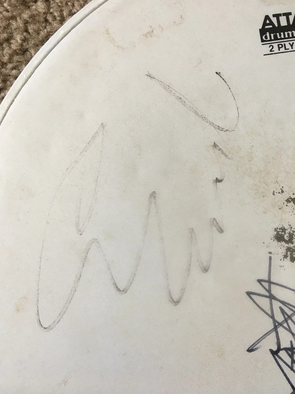 Drumhead Signed by Type O Negative Peter Steele Artists Music Memorabilia, image 3