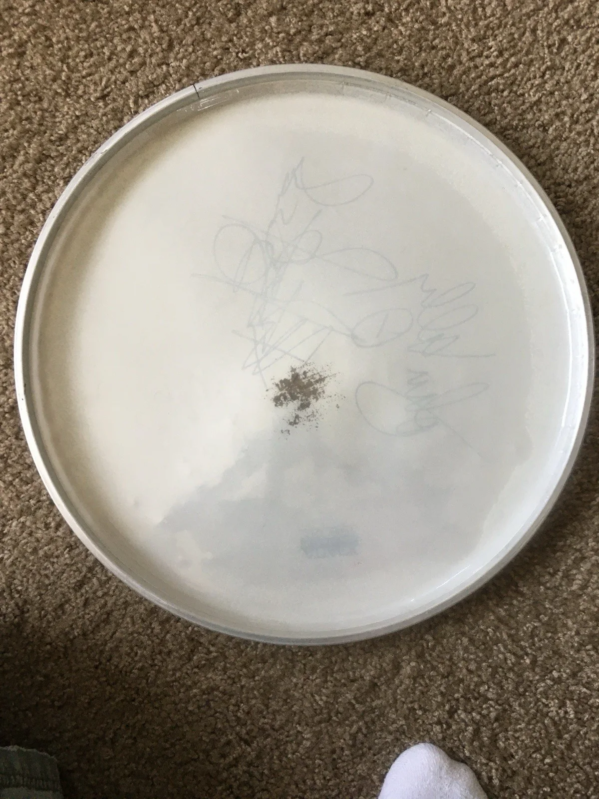 Drumhead Signed by Type O Negative Peter Steele Artists Music Memorabilia, image 4