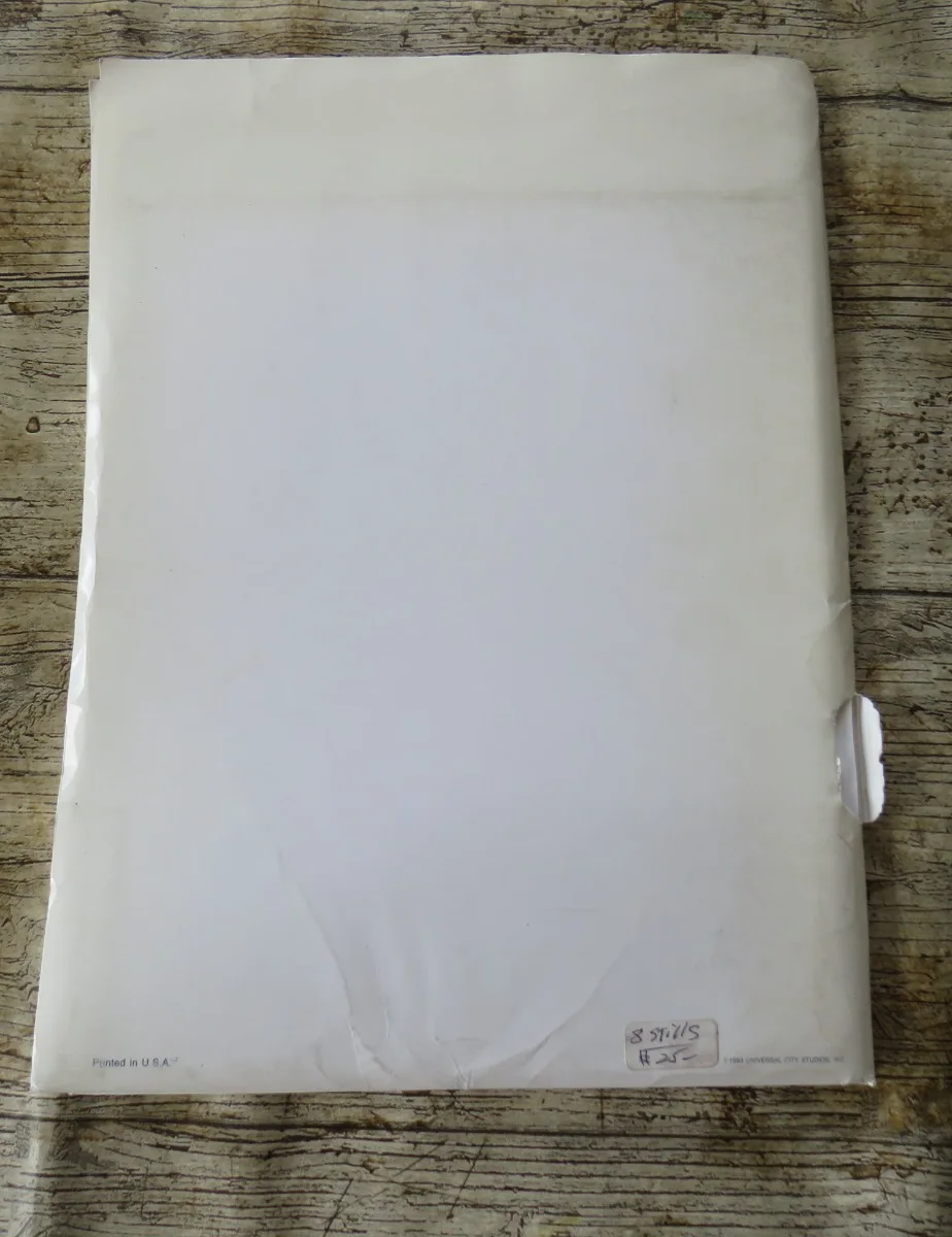 MAD DOG AND GLORY ORIGINAL 1993 CINEMA FILM PRESS KIT Robert De Niro 8 PHOTOS, изображение 5