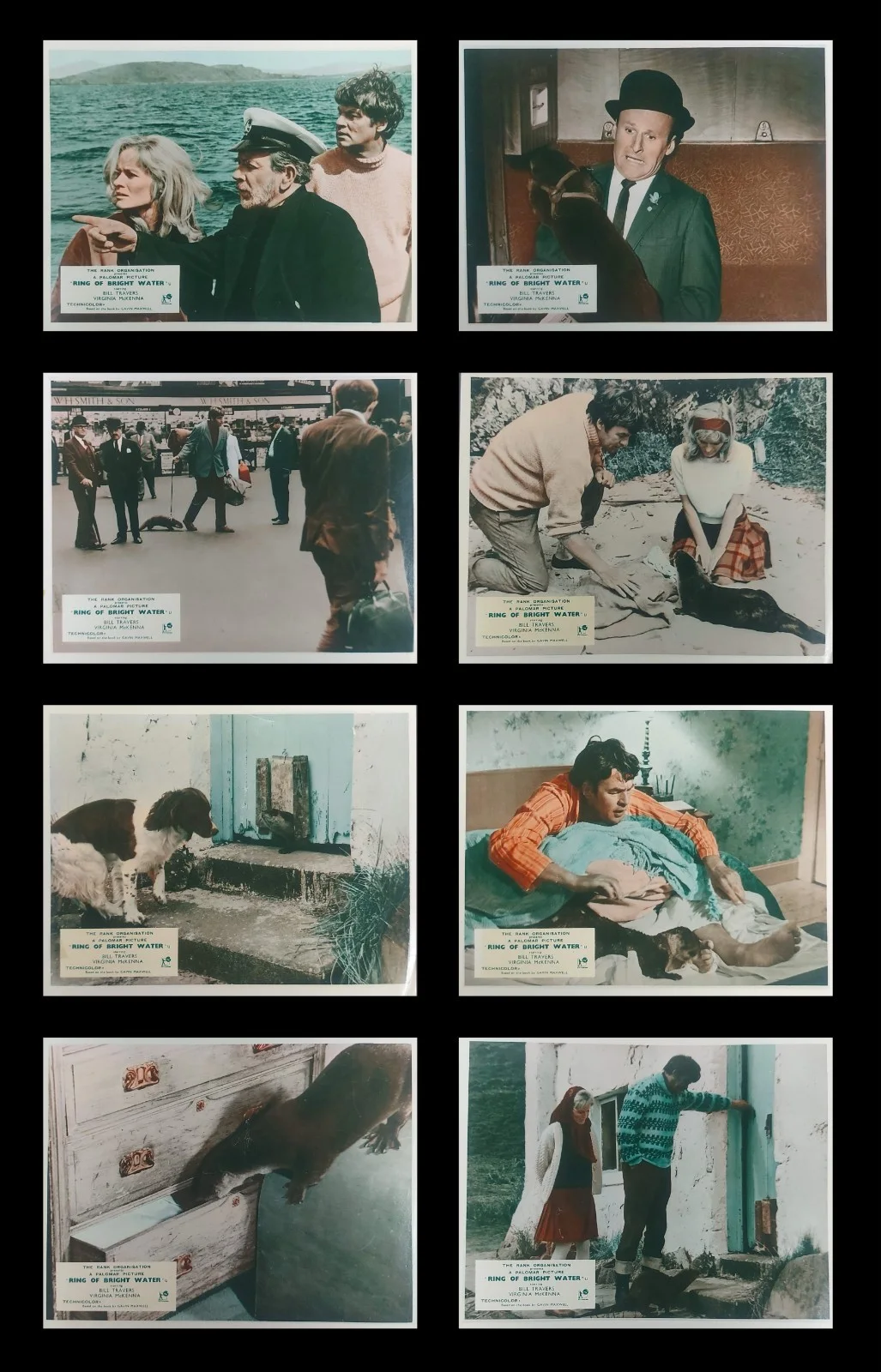 RING OF BRIGHT WATER ORIGINAL UK FOH LOBBY CARDS SET 1969, изображение 2