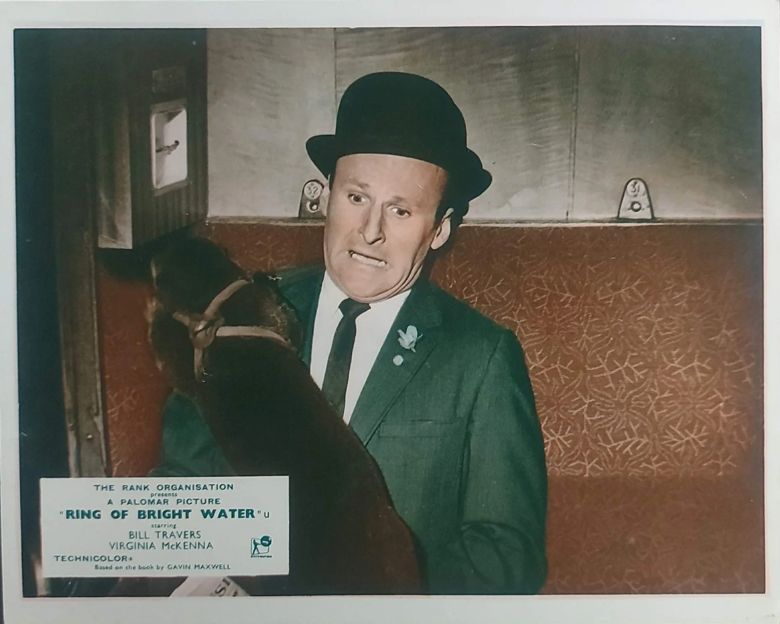 RING OF BRIGHT WATER ORIGINAL UK FOH LOBBY CARDS SET 1969, изображение 4