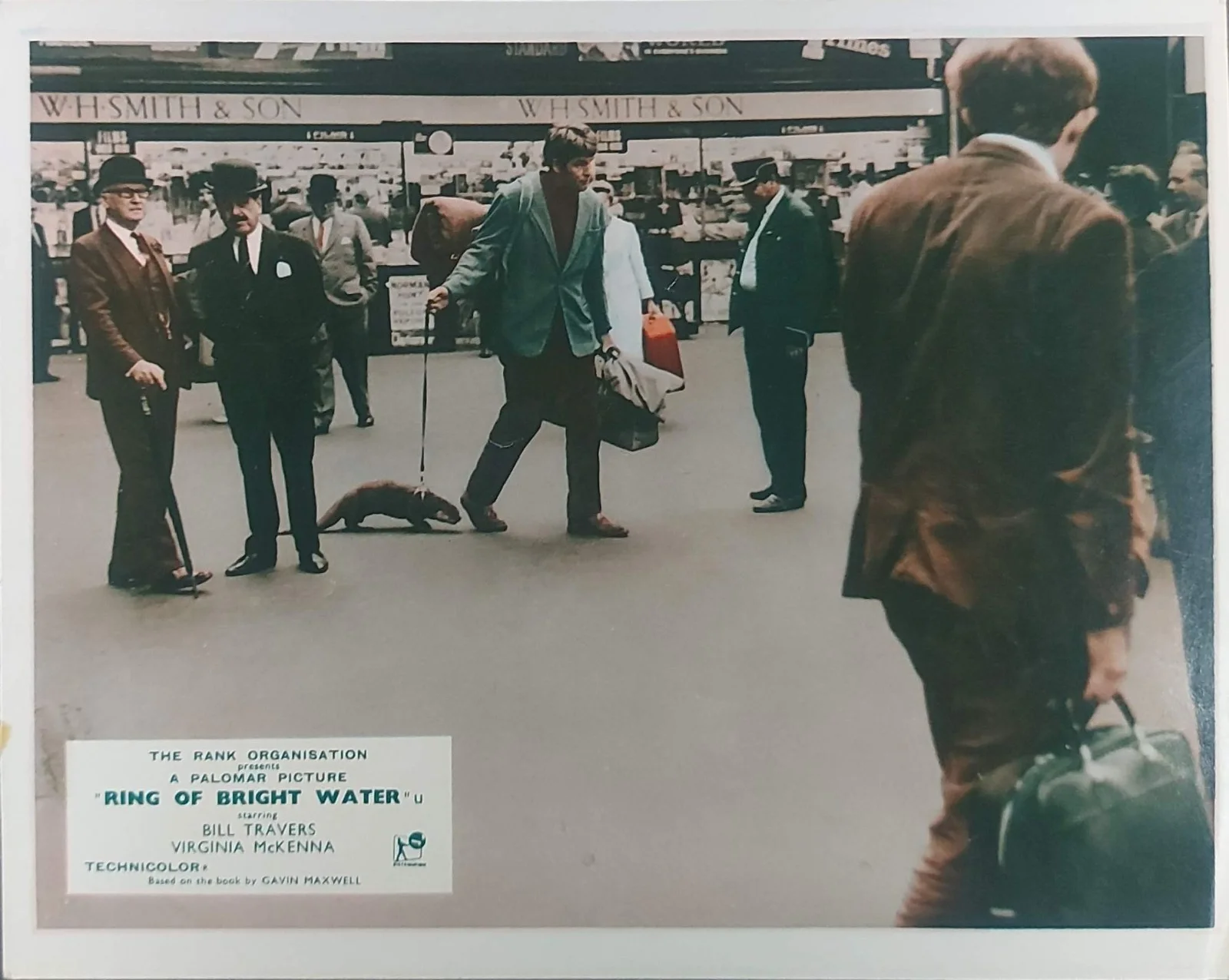 RING OF BRIGHT WATER ORIGINAL UK FOH LOBBY CARDS SET 1969, изображение 5