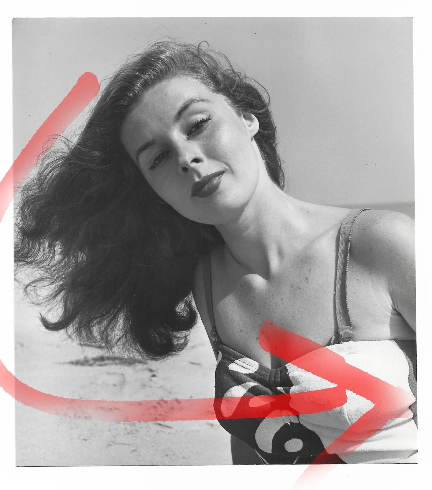 ELAINE STEWART rare vintage photo actress 1953, изображение 2