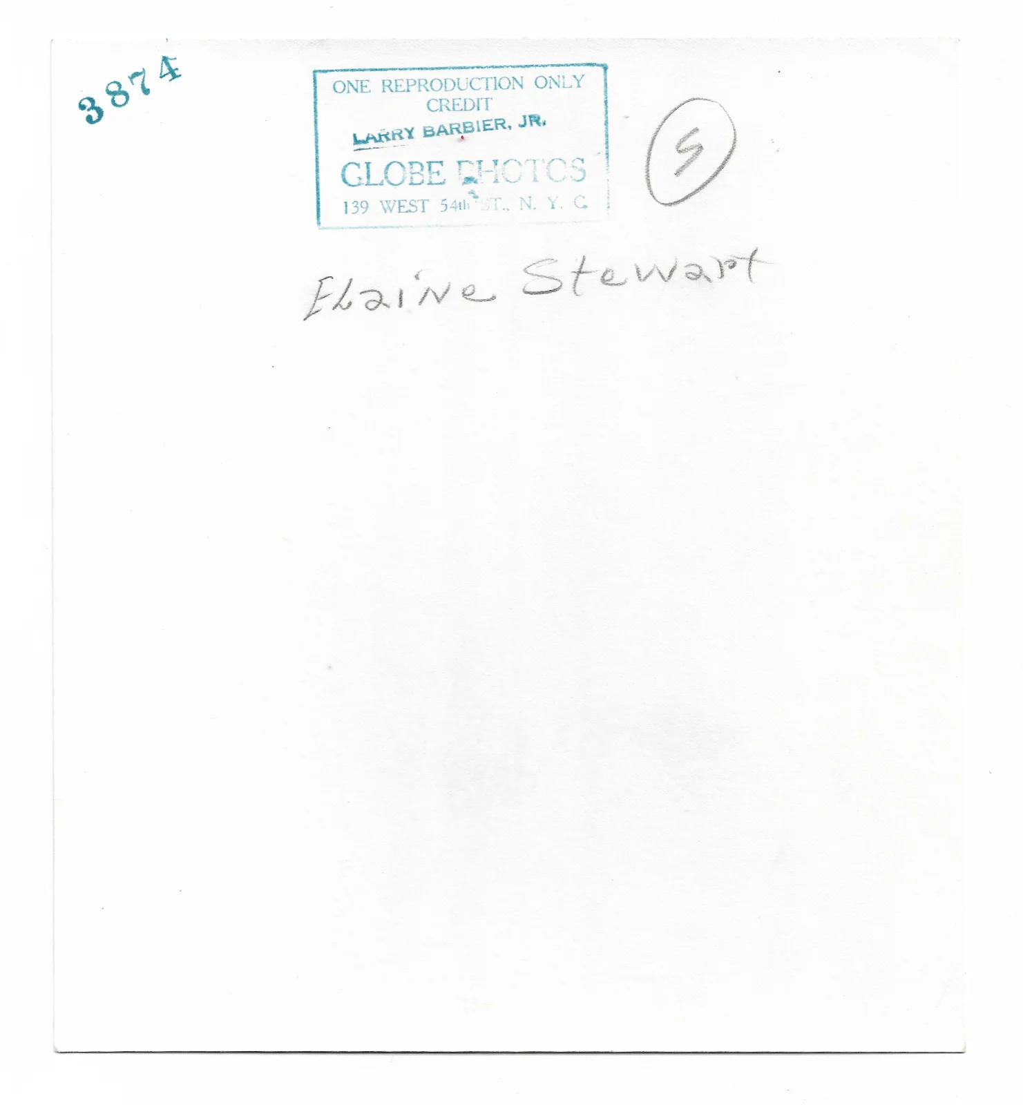 ELAINE STEWART rare vintage photo actress 1953, изображение 3
