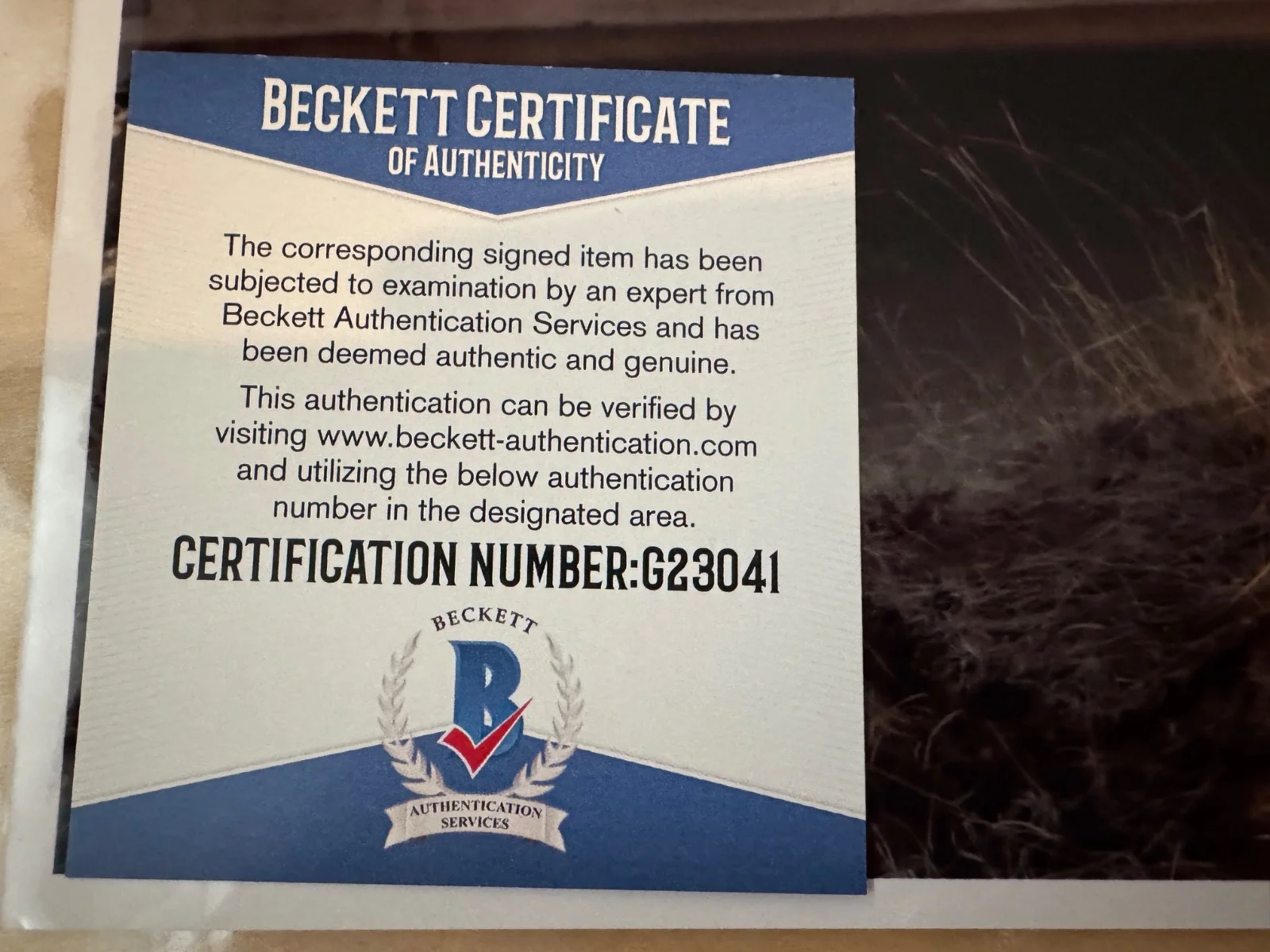 Bryan Cranston — Bryan Cranston Signed 11x14 Breaking Bad Photo Auto Walter White Beckett COA, изображение 4