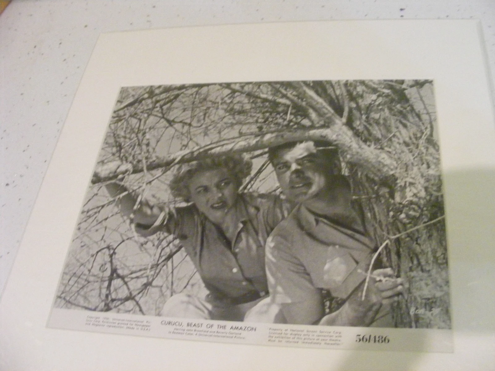 Vintage film still & autographs Curucu Beast of the Amazon John Bromfield, изображение 3