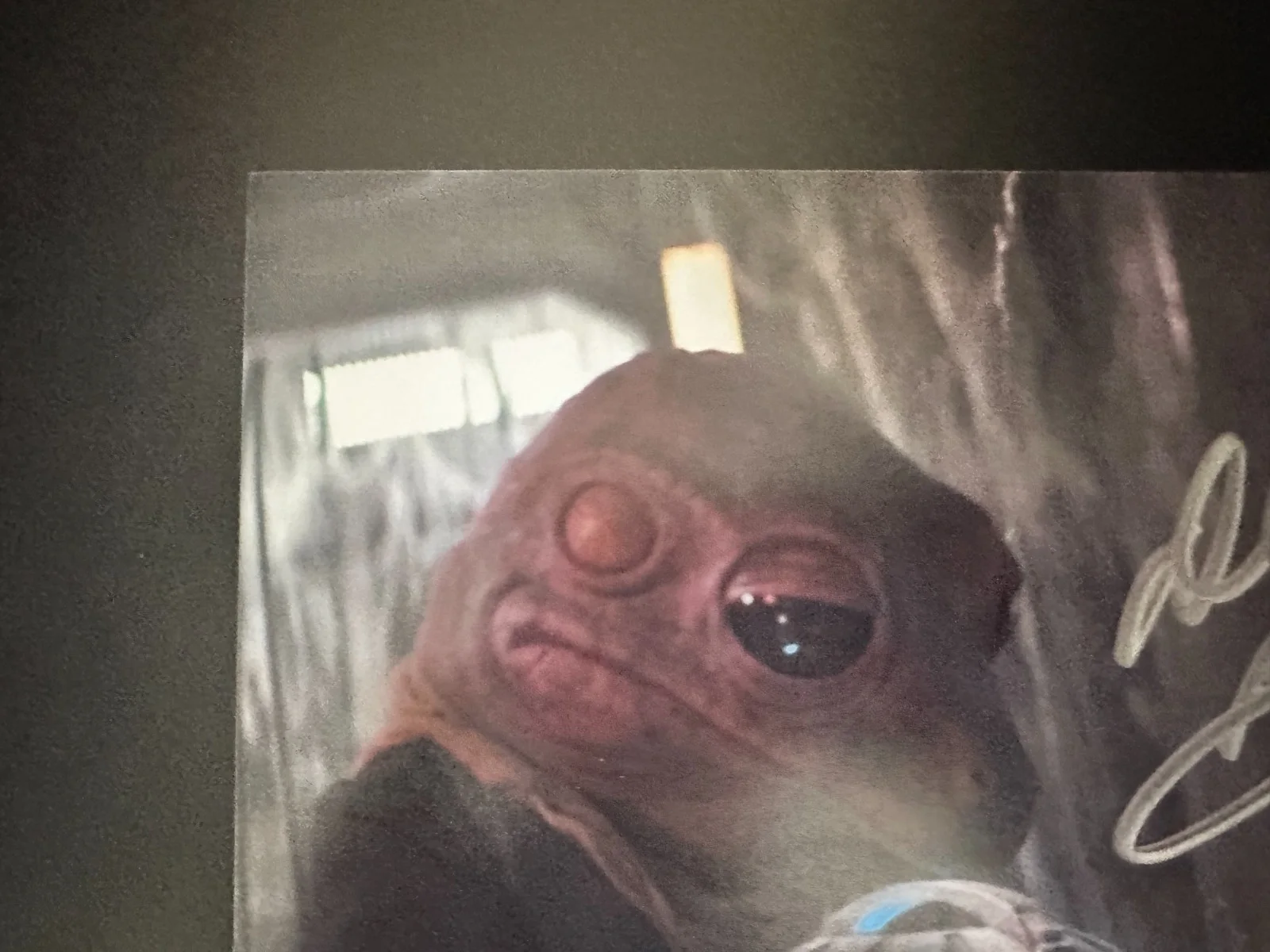 Dee Bradley Baker — Dee Baker Signed 8x10 Star Wars Mandalorian Frog Lady VO (with Grogu) Autograph, изображение 3