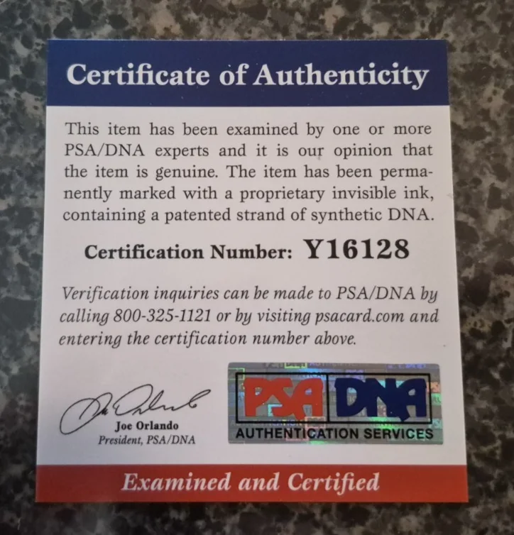 Candice Michelle — Candice Michelle signed / autographed 8x10 photo - PSA/DNA authenticated, image 2