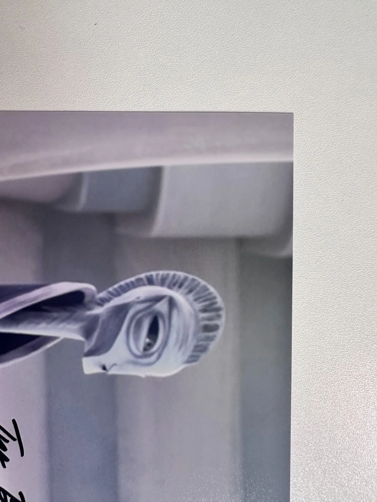 Rena Owen — Rena Owen Signed 8x10 Star Wars: The Bad Batch Taun We (Kamino) Autograph, image 2