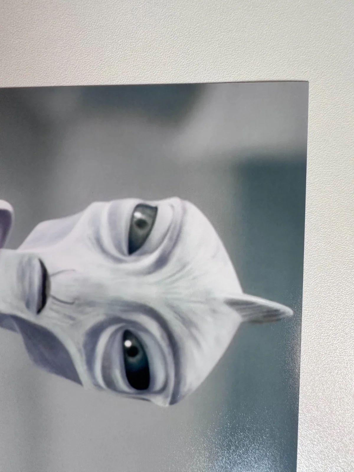 Rena Owen — Rena Owen Signed 8x10 Star Wars: The Bad Batch Taun We (Kamino) Autograph, image 2