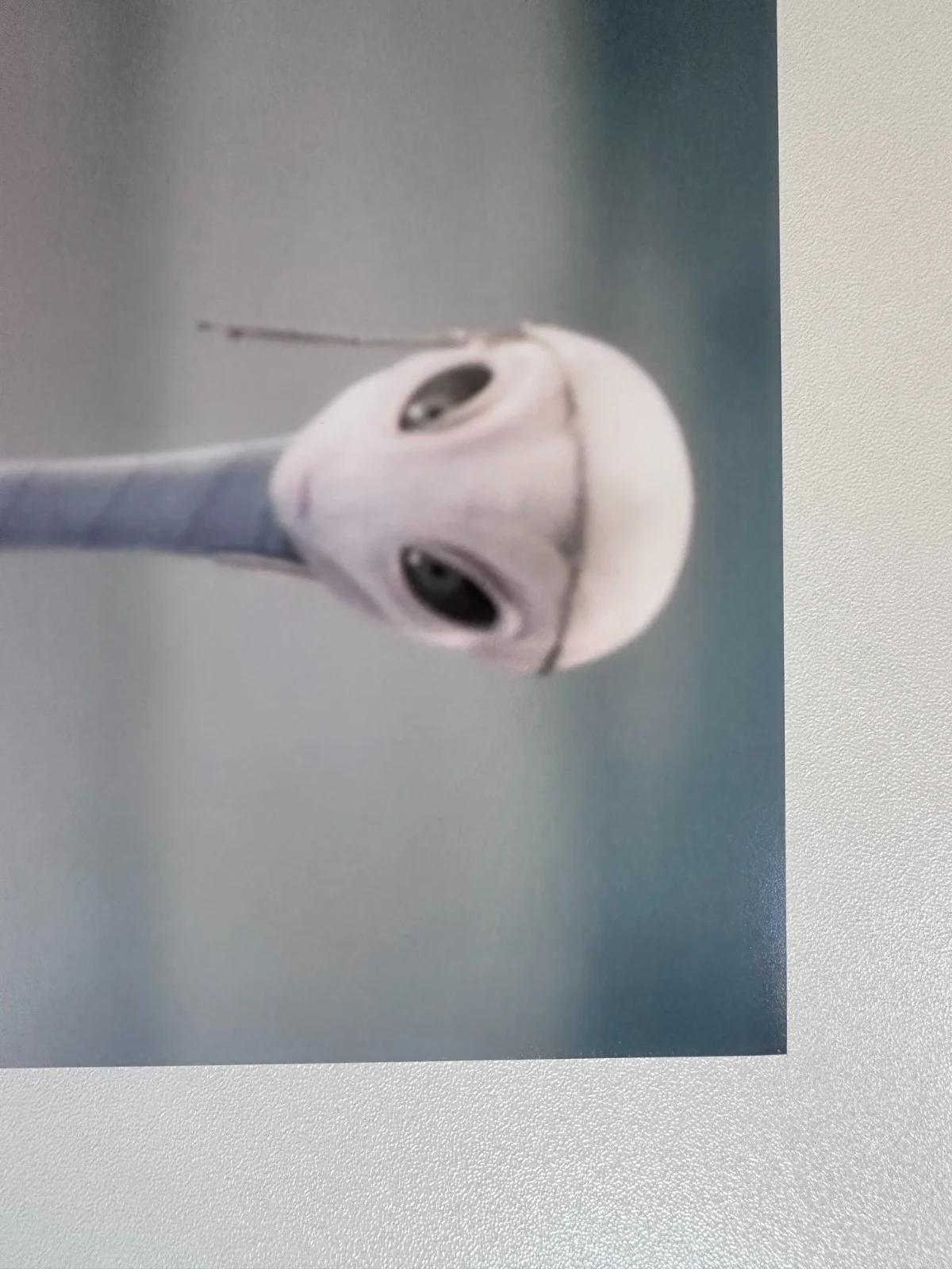 Rena Owen — Rena Owen Signed 8x10 Star Wars: The Bad Batch Taun We (Kamino) Autograph, image 3