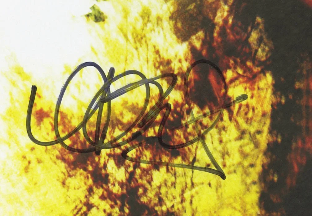 Alanis Morissette autographed gig poster, image 2