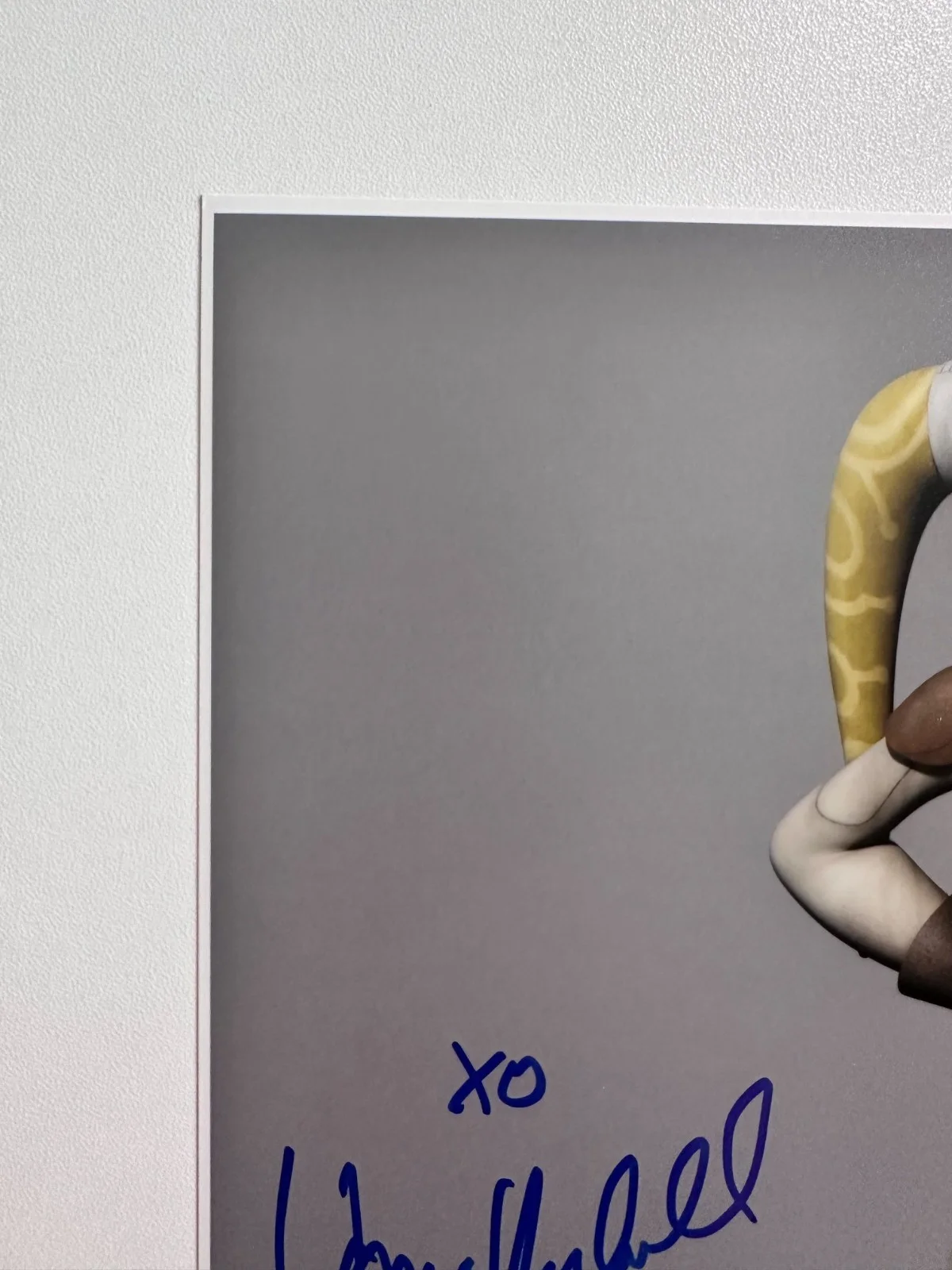 Vanessa Marshall — Vanessa Marshall Signed OPX 8x10 Star Wars Rebels Hera Syndulla Autograph, изображение 2