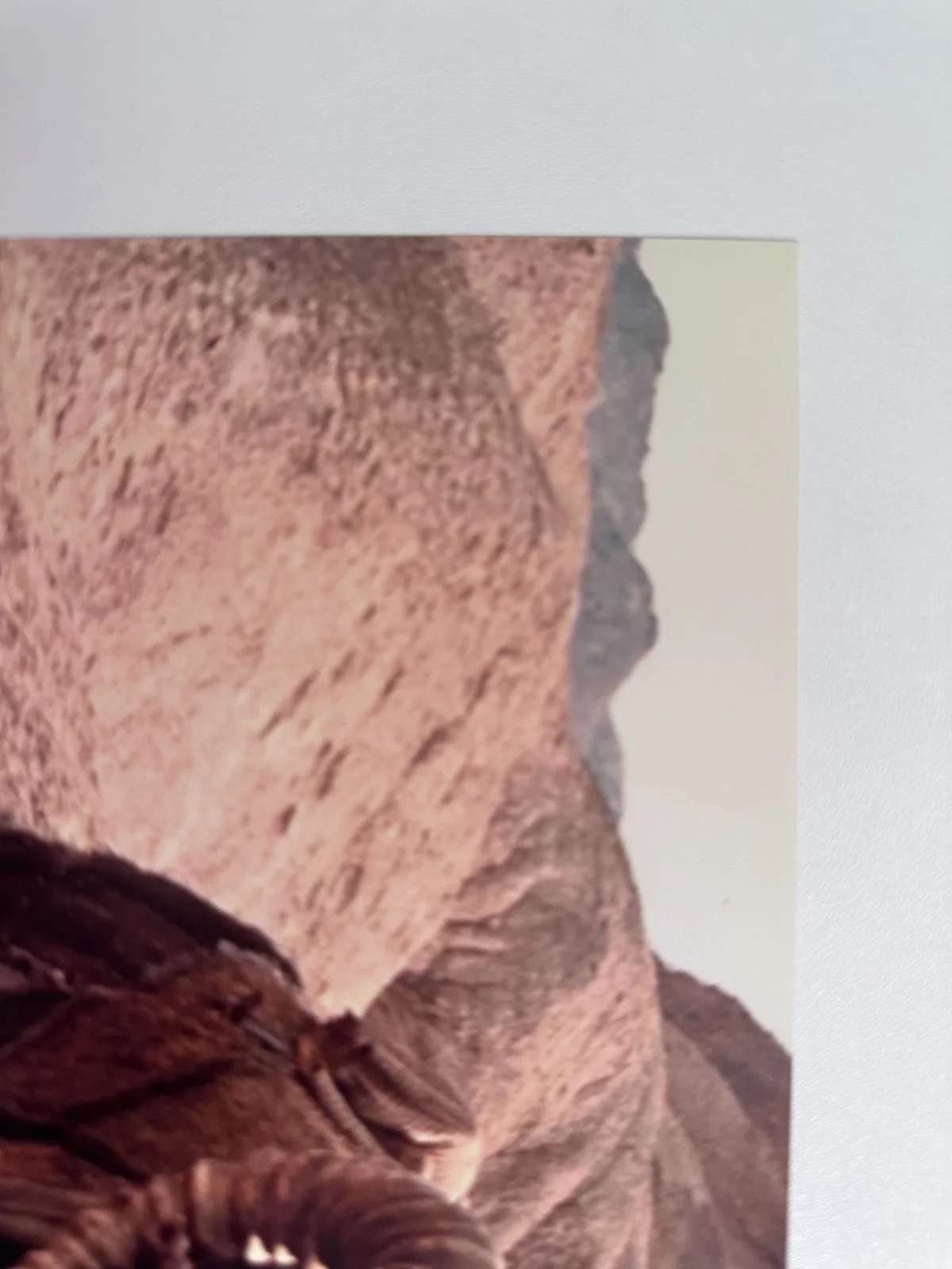 Bob Spiker — Bob Spiker Signed 8x10 Star Wars EpIV Tusken Raider (Bantha Rider) Autograph, изображение 2
