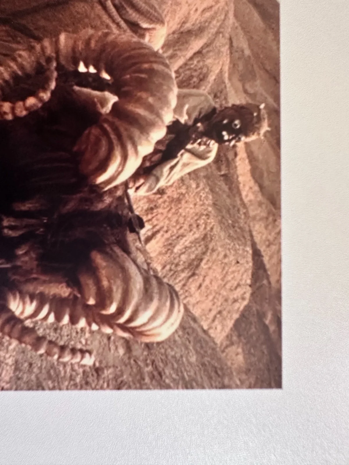 Bob Spiker — Bob Spiker Signed 8x10 Star Wars EpIV Tusken Raider (Bantha Rider) Autograph, изображение 3