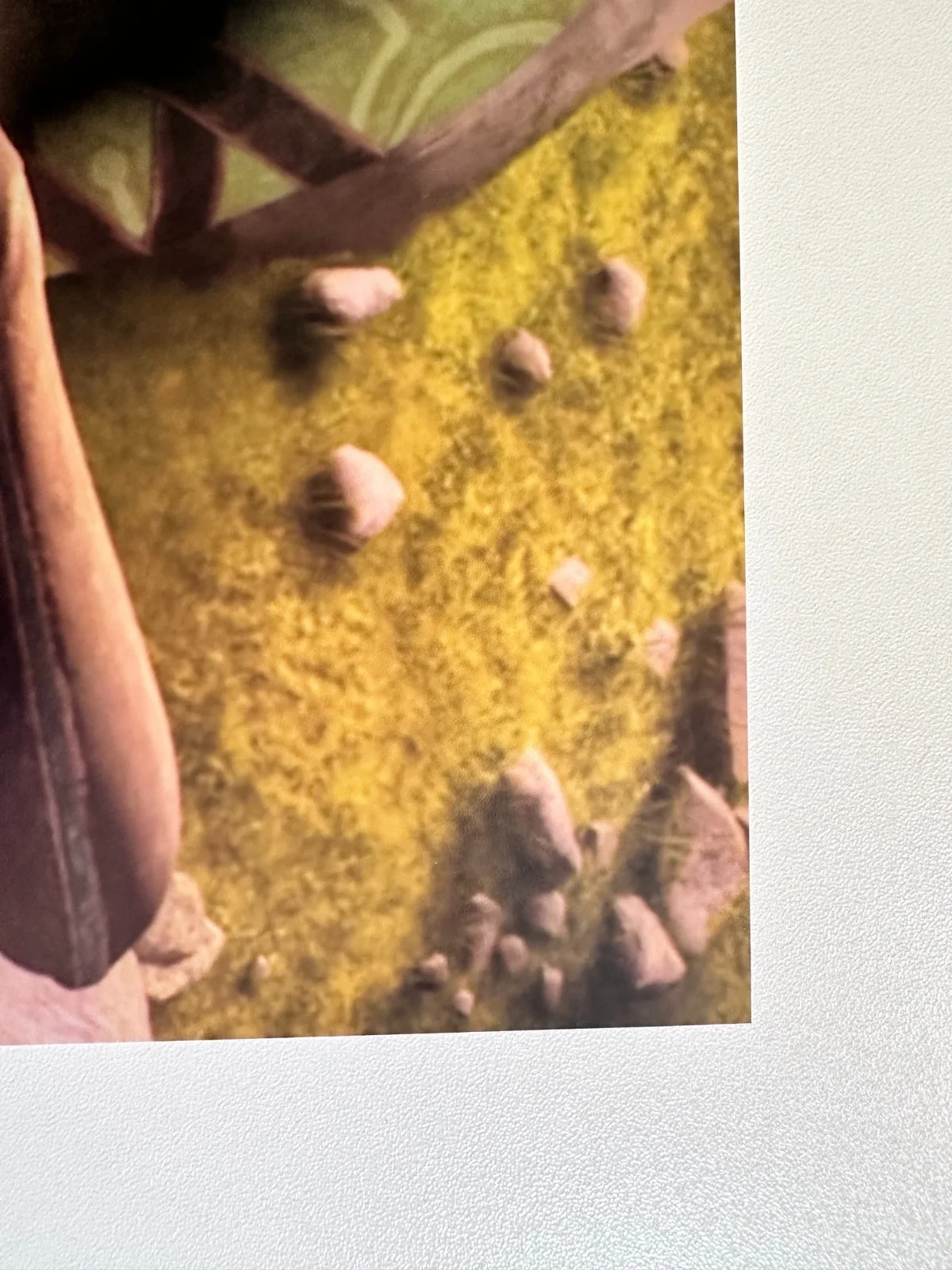 Vanessa Marshall — Vanessa Marshall Signed 8x10 Star Wars: The Bad Batch Hera Syndulla Autograph, image 3