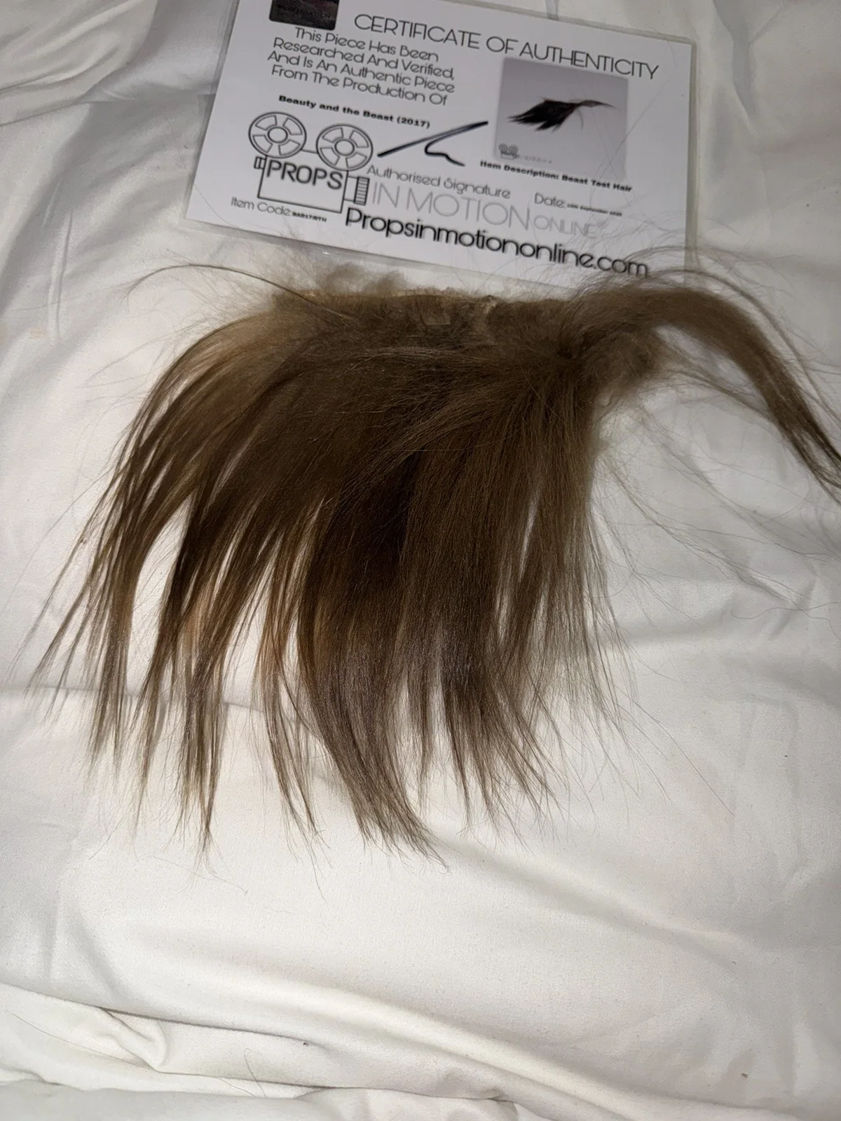 Beauty And The Beast Hair Fur Used Movie Prop Film TV COA Rare Production big, изображение 2