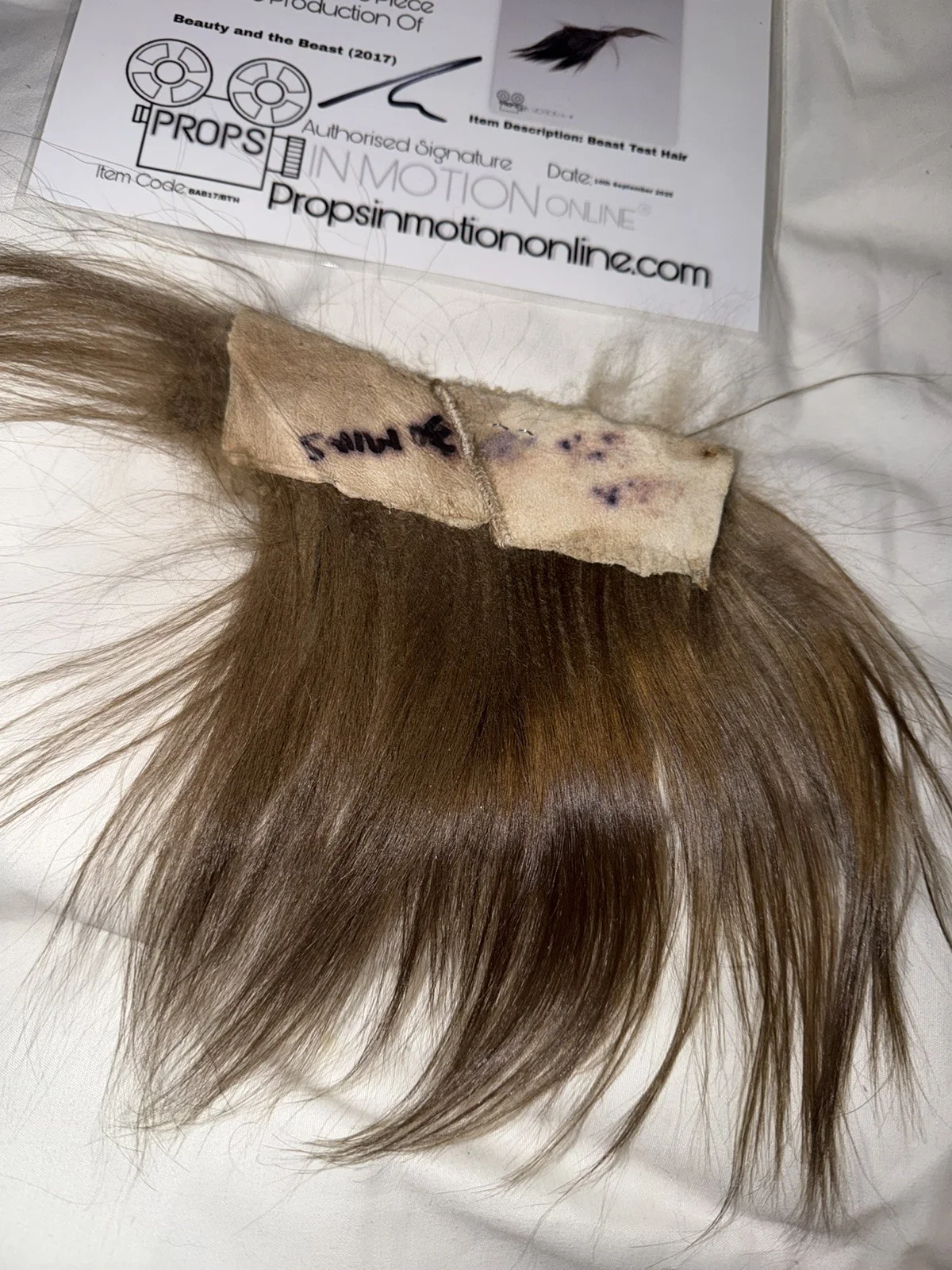 Beauty And The Beast Hair Fur Used Movie Prop Film TV COA Rare Production big, изображение 3