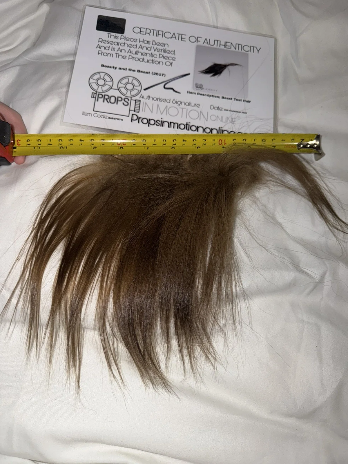Beauty And The Beast Hair Fur Used Movie Prop Film TV COA Rare Production big, изображение 4