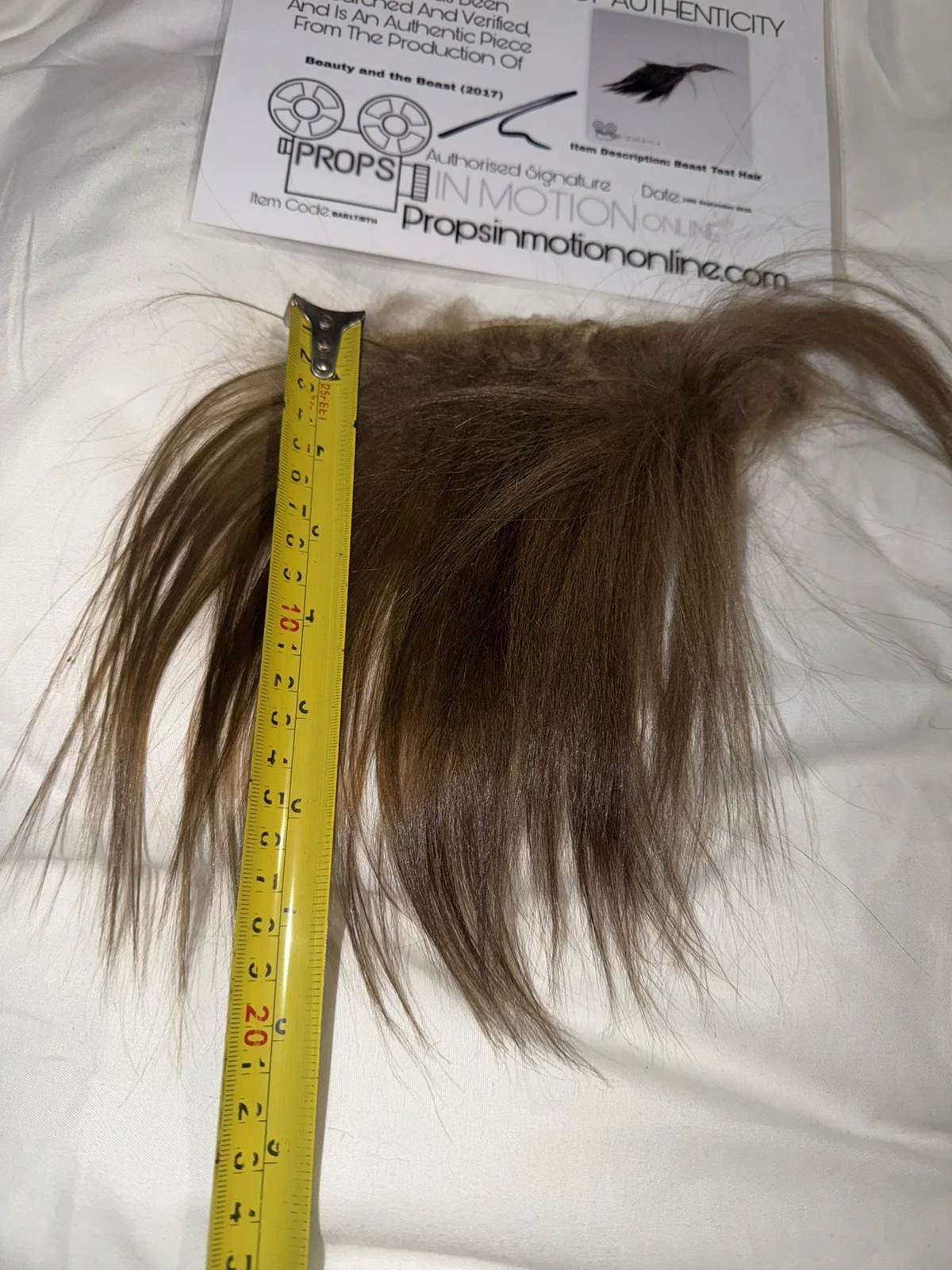 Beauty And The Beast Hair Fur Used Movie Prop Film TV COA Rare Production big, изображение 5