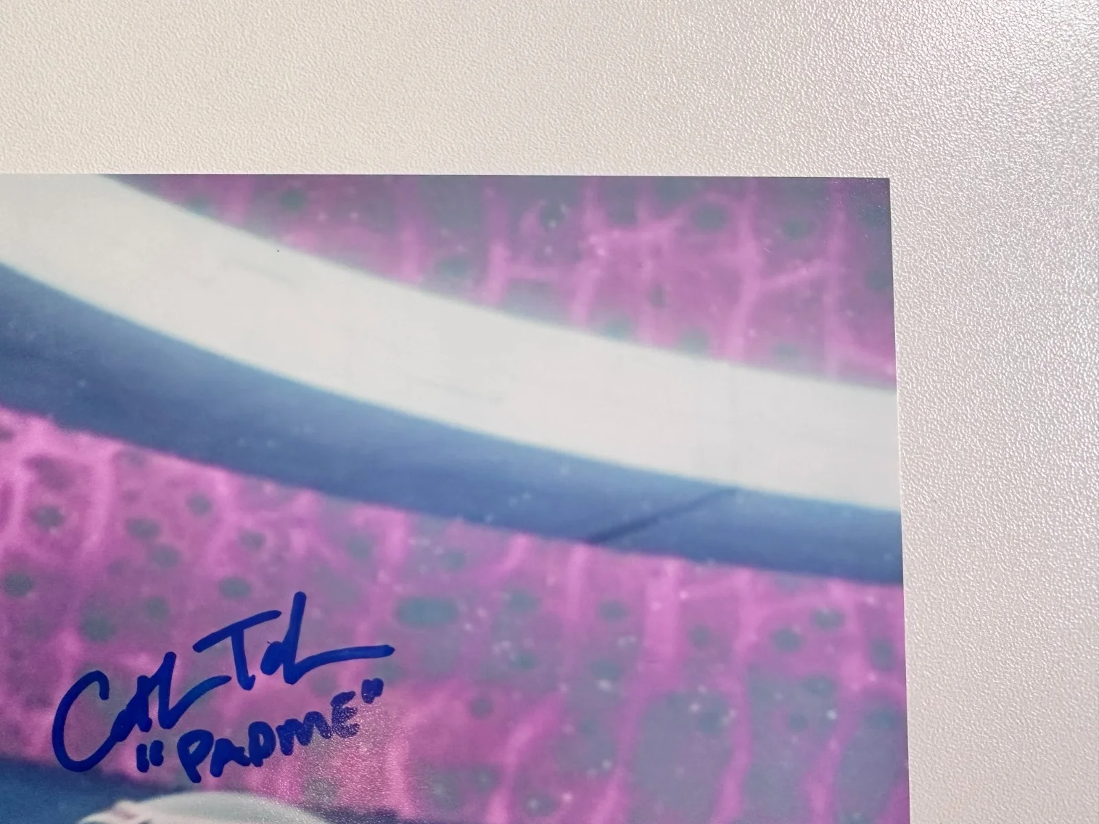 Catherine Taber — Dual-Signed 8x10 Star Wars: The Clone Wars Padme & Captain Ackbar Autograph, изображение 3