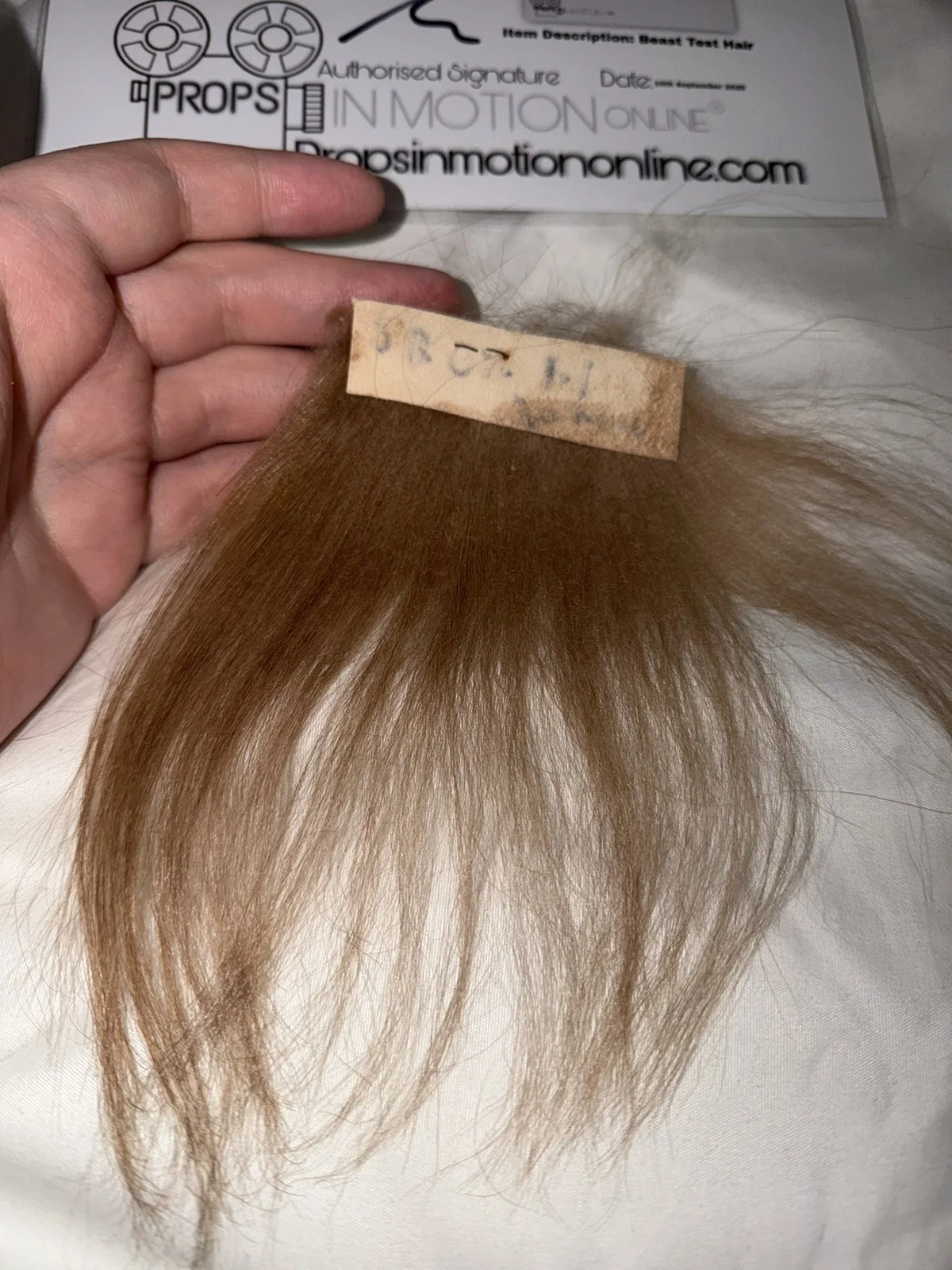 Beauty And The Beast Hair Fur Used Movie Prop Film TV COA Rare Production, изображение 3