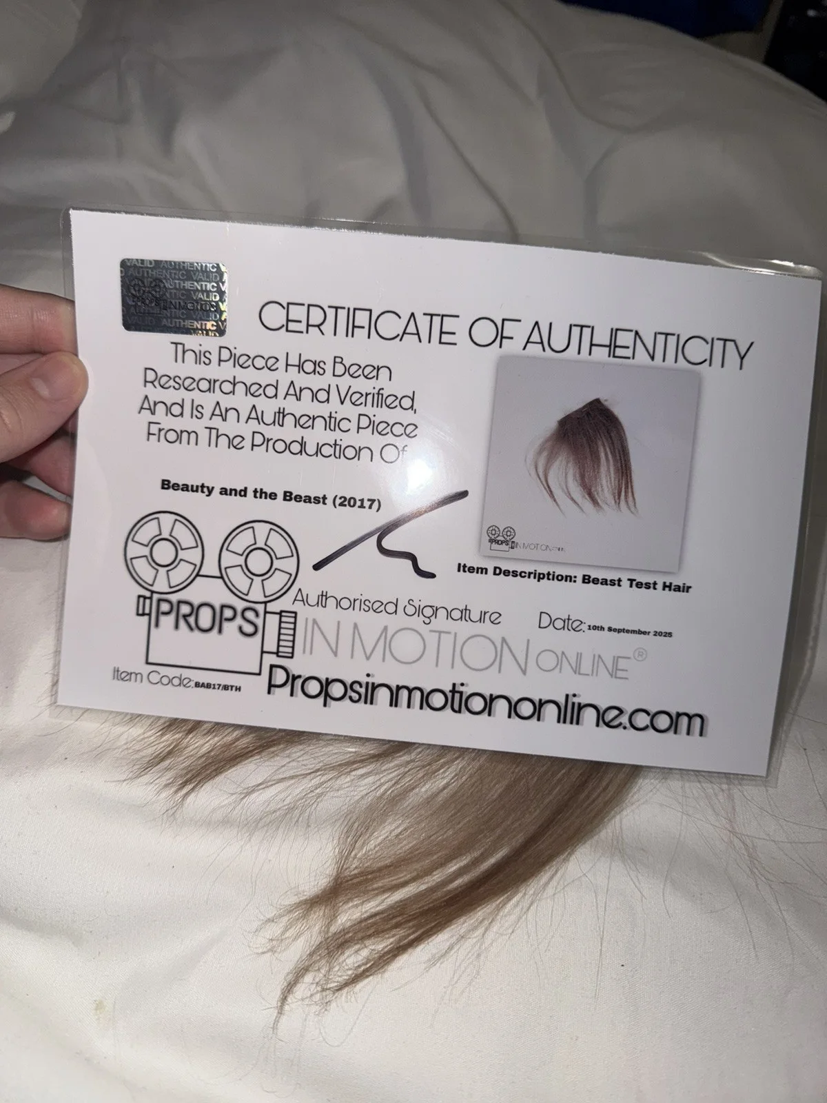 Beauty And The Beast Hair Fur Used Movie Prop Film TV COA Rare Production, изображение 4