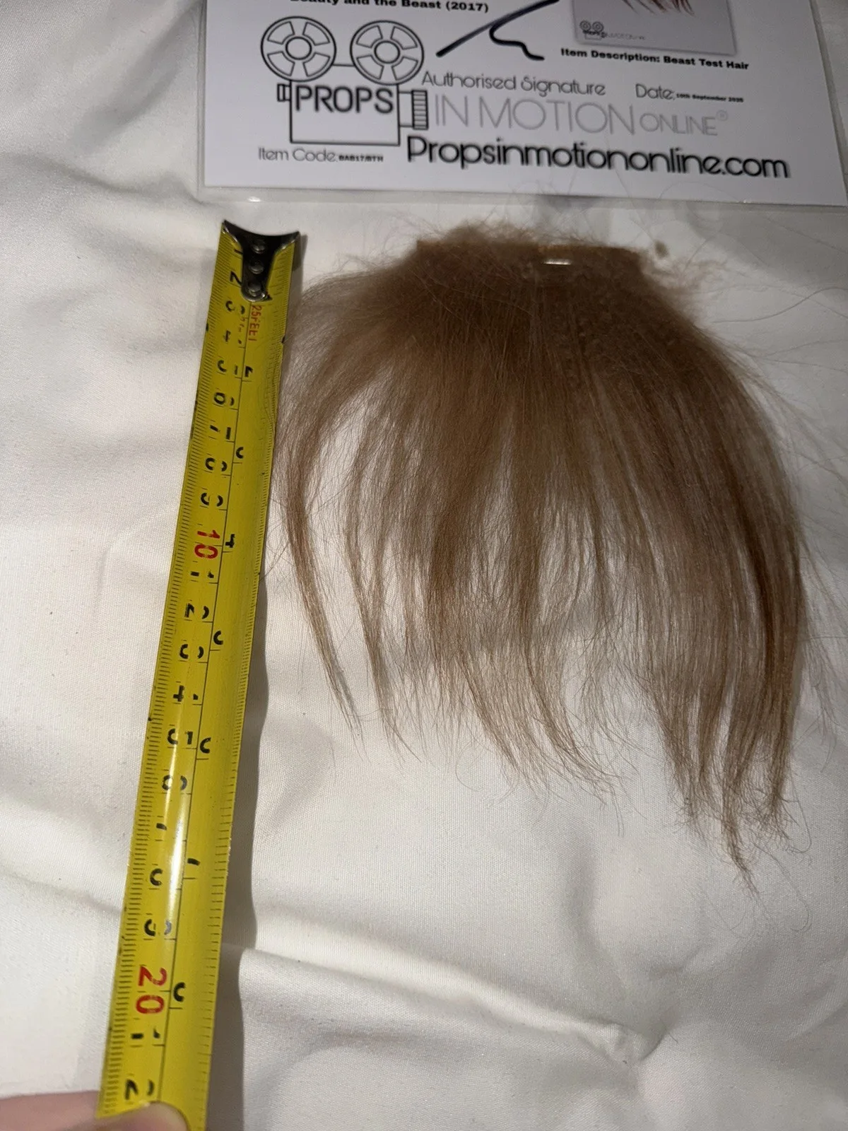 Beauty And The Beast Hair Fur Used Movie Prop Film TV COA Rare Production, изображение 5