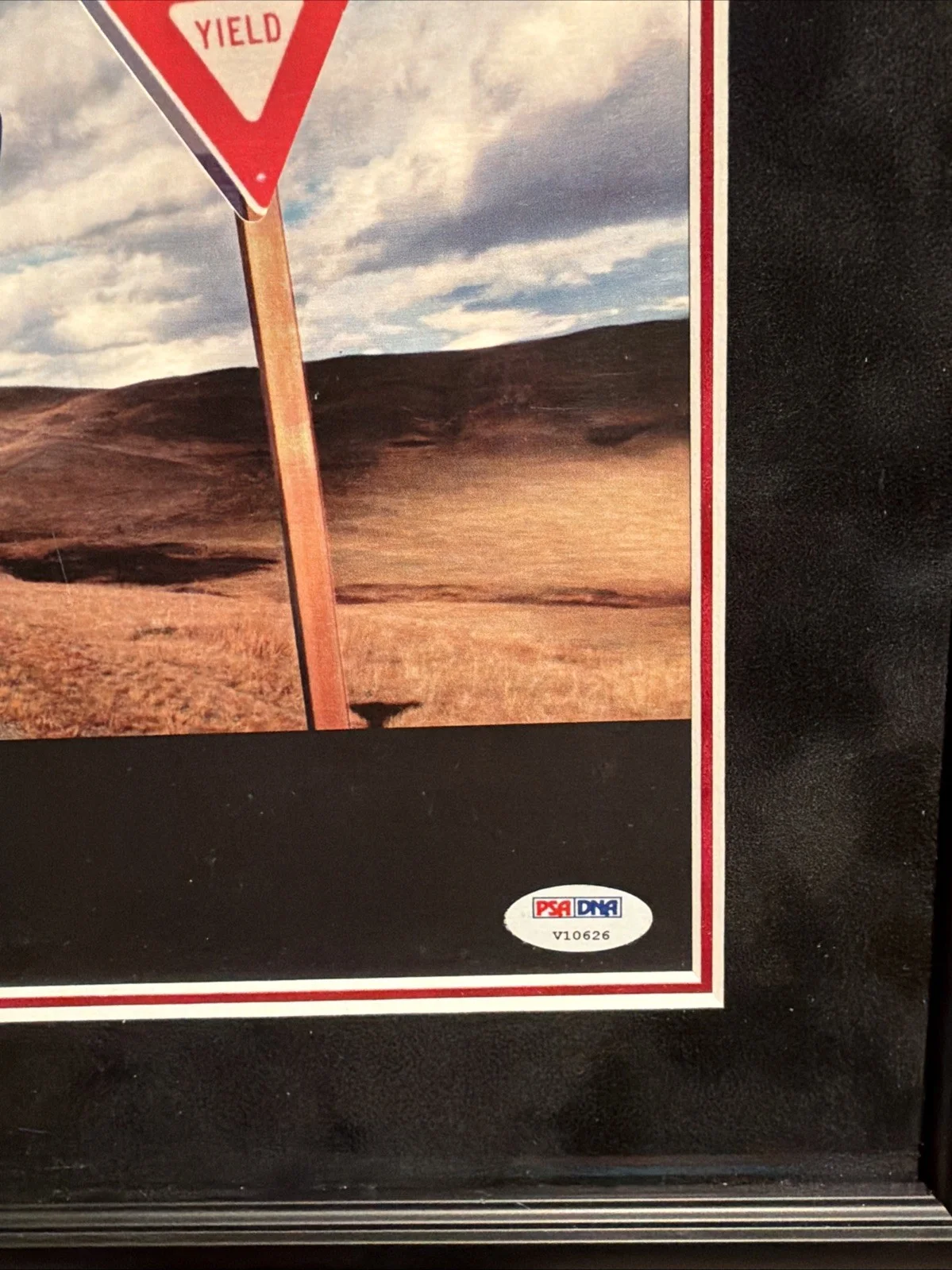 Eddie Vedder — PEARL JAM BAND SIGNED AUTOGRAPH ALBUM VINYL RECORD PEARL JAM YIELD PSA LOA 5 Sig, изображение 5