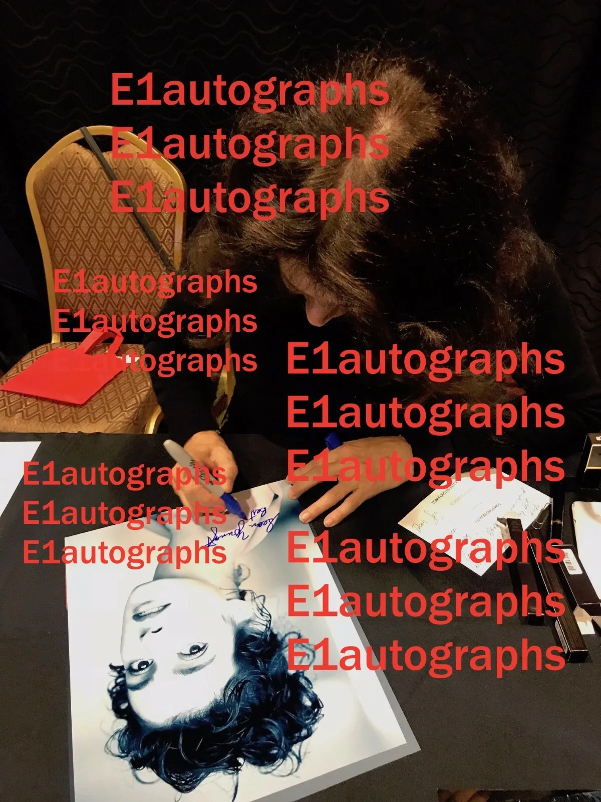 Sean Young — Sean Young Signed 11x14 Photo in person. Exact Photo Proof. Blade Runner, изображение 3