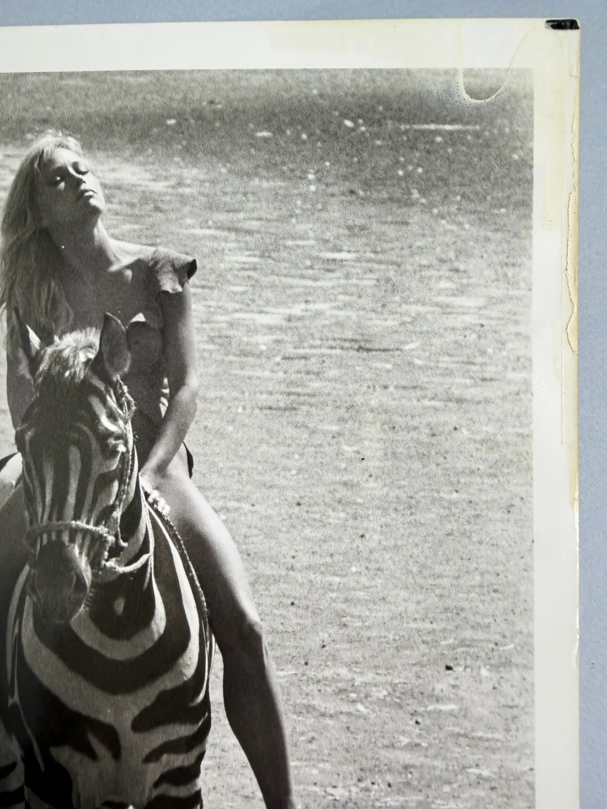 Tanya Roberts — TANYA ROBERTS Signed 8x10 Vintage Photo Authentic Autograph «Shena 1984”, image 3