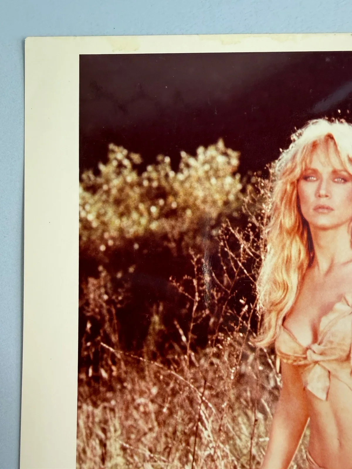 Tanya Roberts — TANYA ROBERTS Signed 8x10 Vintage Photo Authentic Autograph «Shena 1984”, изображение 2