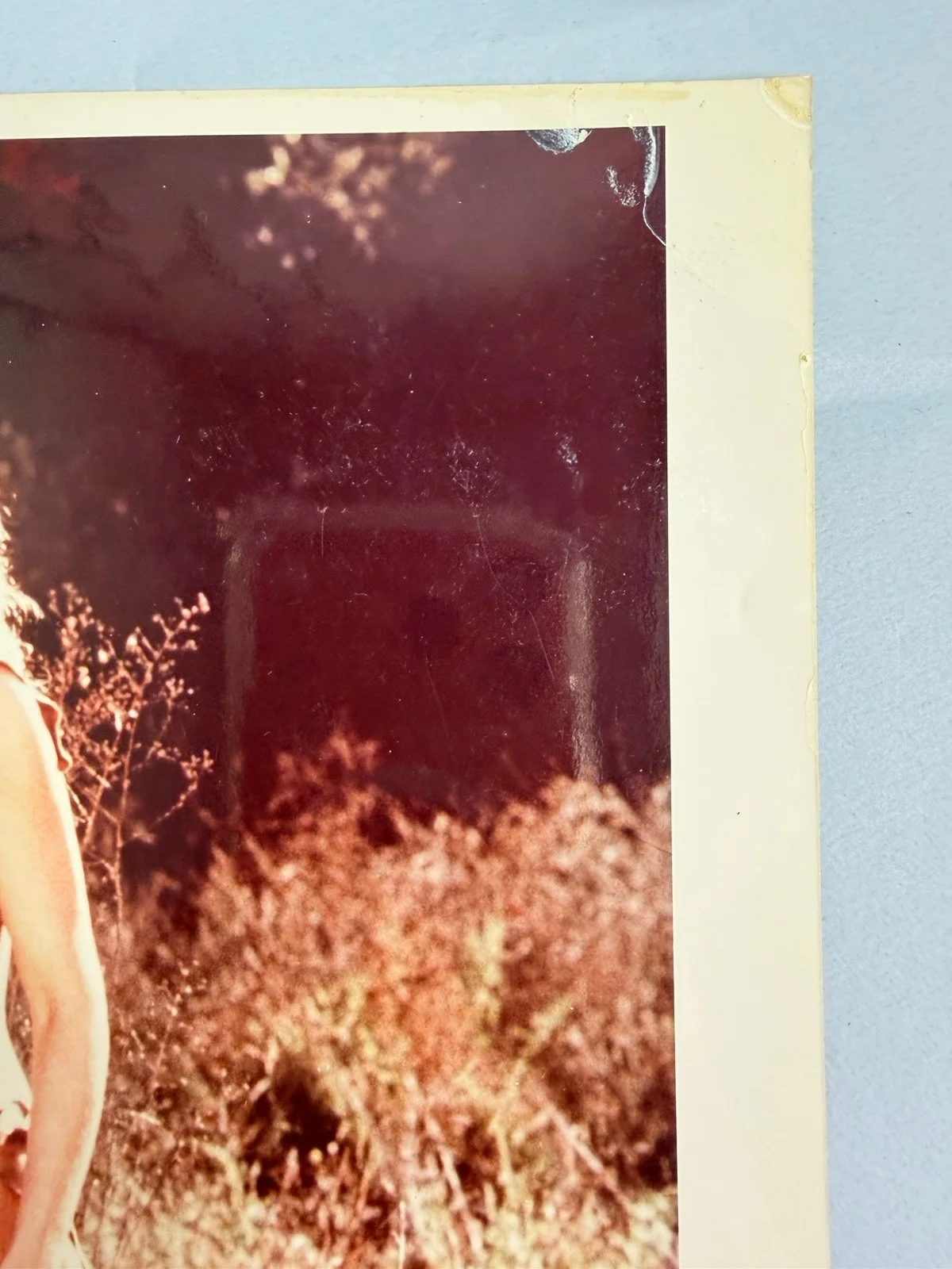 Tanya Roberts — TANYA ROBERTS Signed 8x10 Vintage Photo Authentic Autograph «Shena 1984”, изображение 3
