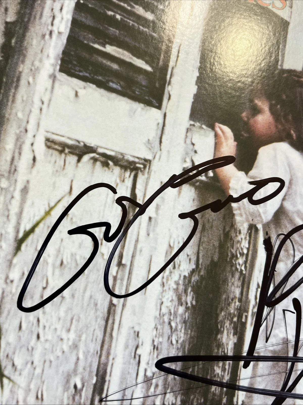 Gordon Gano Brian Ritchie Signed Violent Femmes Vinyl Album JSA Coa Autographed, изображение 2