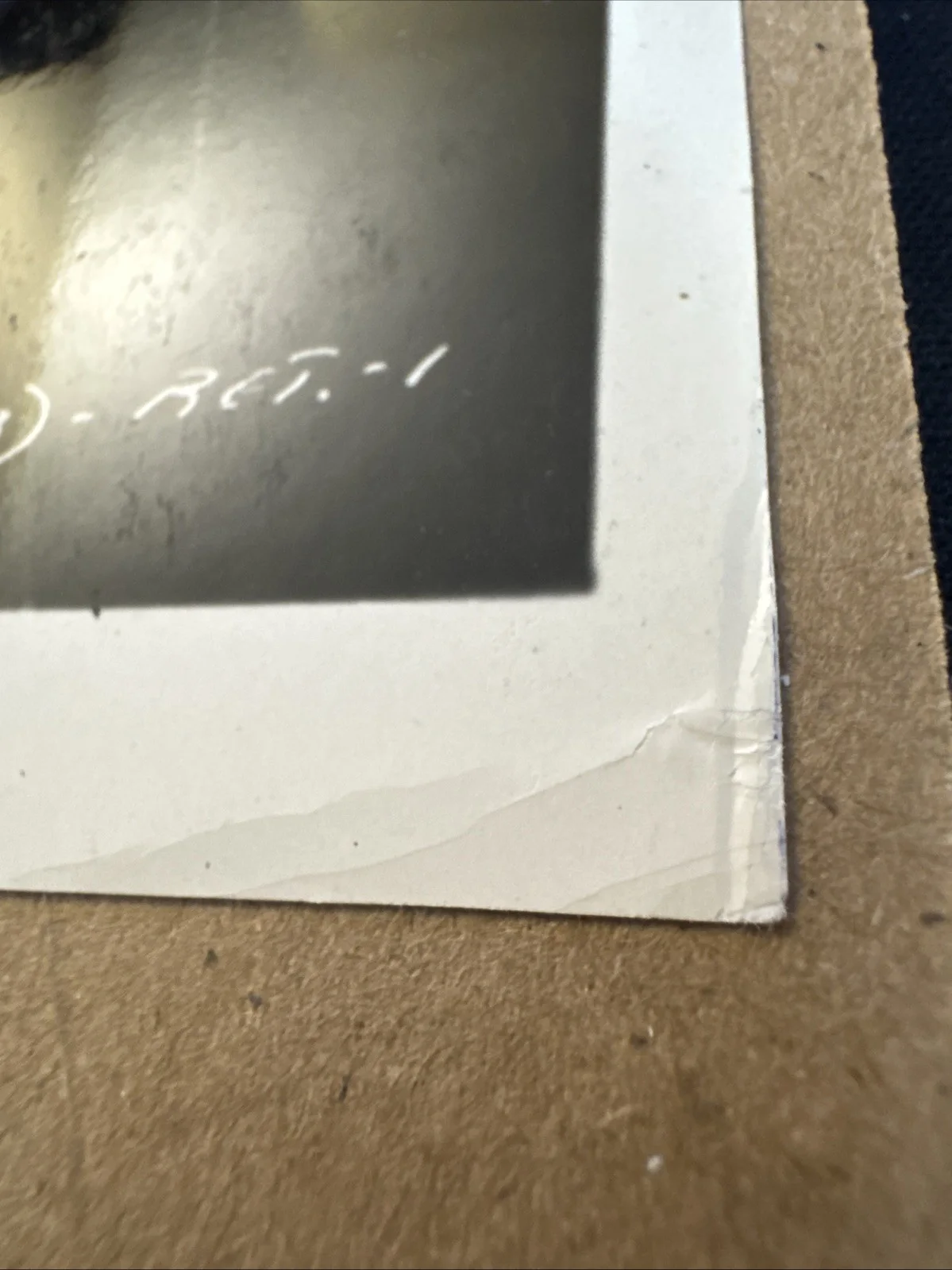 Brigitte Bardot — Brigitte Bardot Signed Please Not Now Photo 7.5x9.5 Autograph, image 2