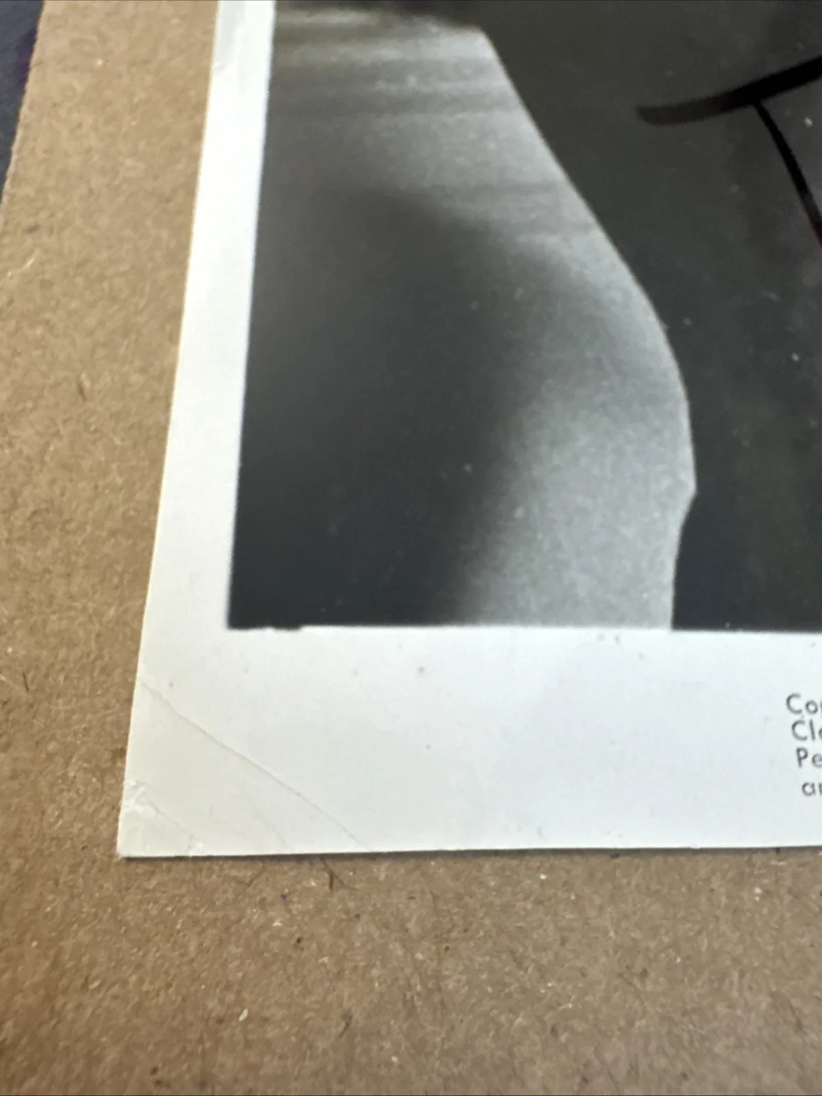 Brigitte Bardot — Brigitte Bardot Signed Please Not Now Photo 7.5x9.5 Autograph, image 3