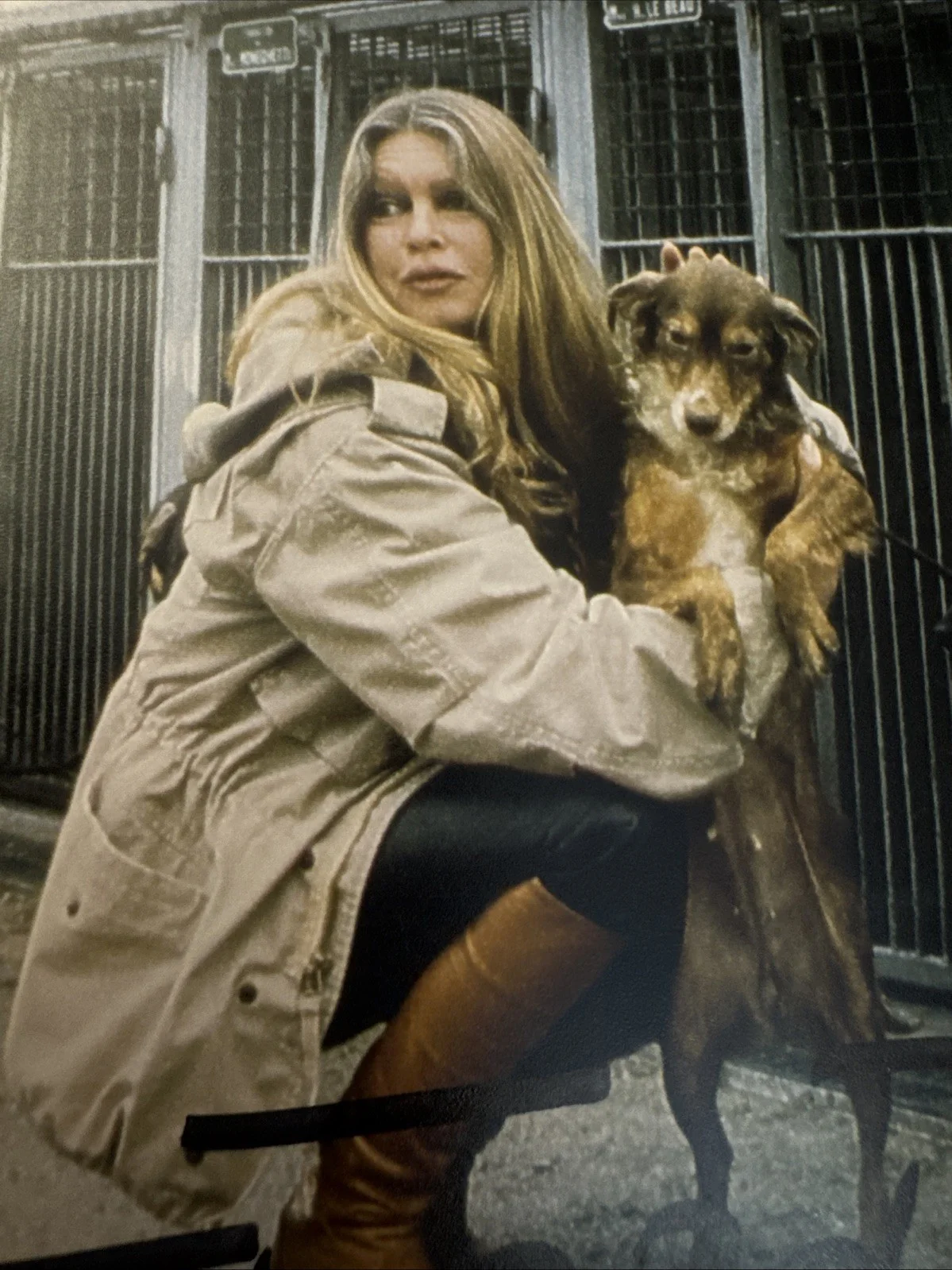 Brigitte Bardot — Brigitte Bardot Signed Original 1992 Photo With Dogs Autograph Rare, изображение 3