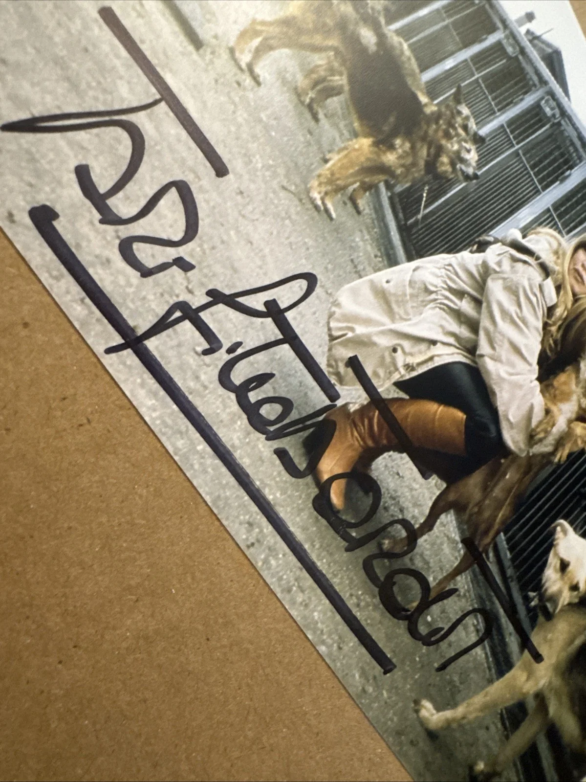 Brigitte Bardot — Brigitte Bardot Signed Original 1992 Photo With Dogs Autograph Rare, изображение 4
