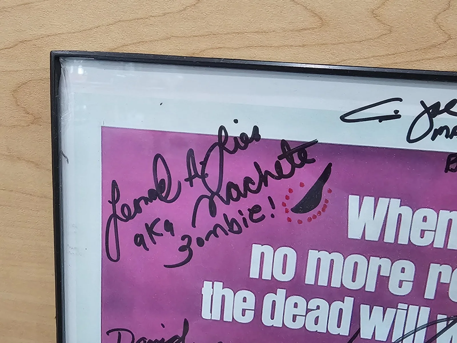 Dawn of the Dead Case — Dawn of the Dead Cast Signed Movie Poster w/ 23 Signatures Framed 11" x 17", изображение 2