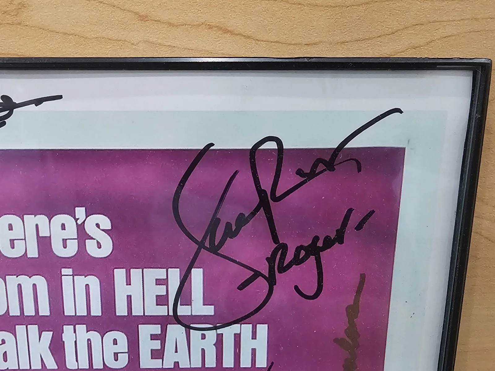 Dawn of the Dead Case — Dawn of the Dead Cast Signed Movie Poster w/ 23 Signatures Framed 11" x 17", изображение 4