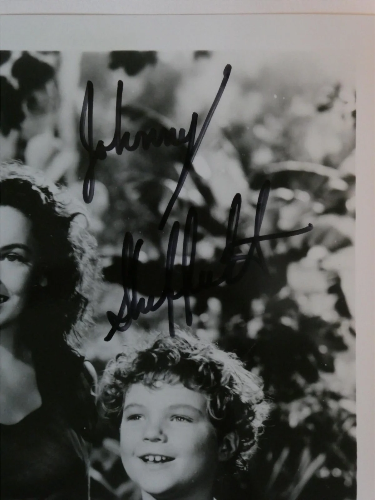 Johnny Sheffield — Johnny Sheffield Signed 8x10 B&W Photo Autographed Boy Tarzan Film Series, изображение 2
