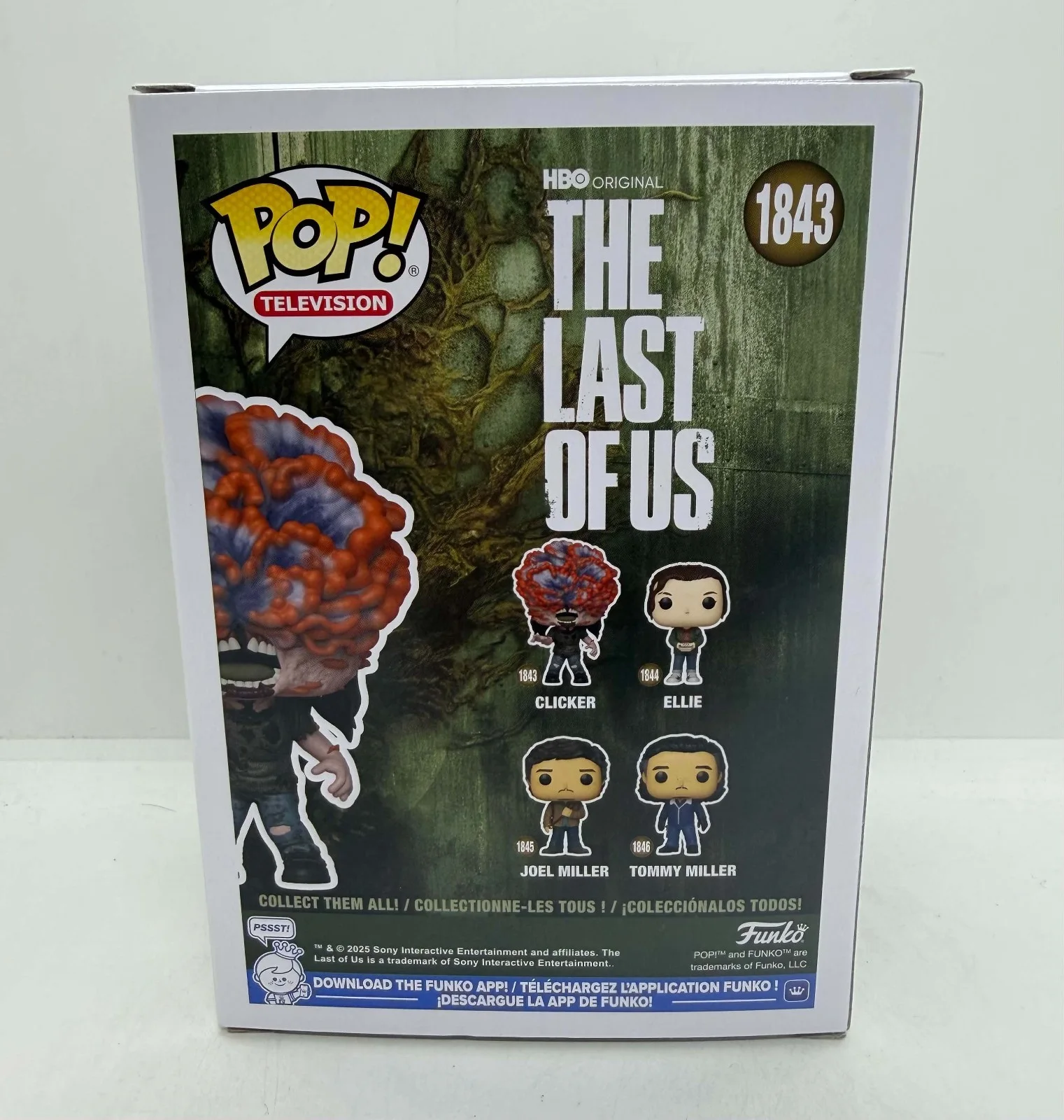 kaitlyn dever — kaitlyn Dever Signed The Last Of Us Clicker Funko Pop #1843 SWAU, изображение 3