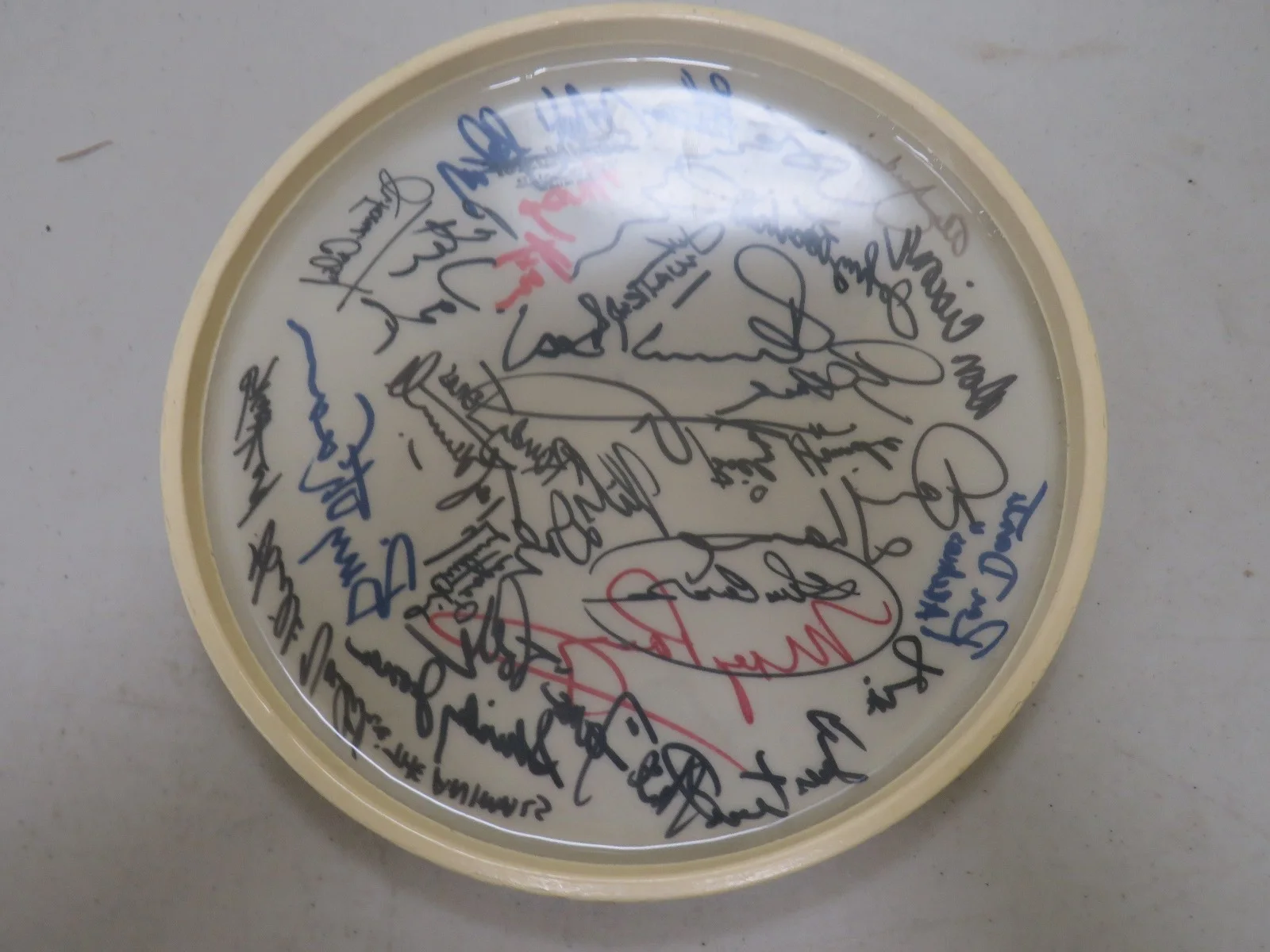 Signed Pete Best Peter Torke Mickey Dolenz Ron Dante Don Ciccone Drum Head, изображение 2