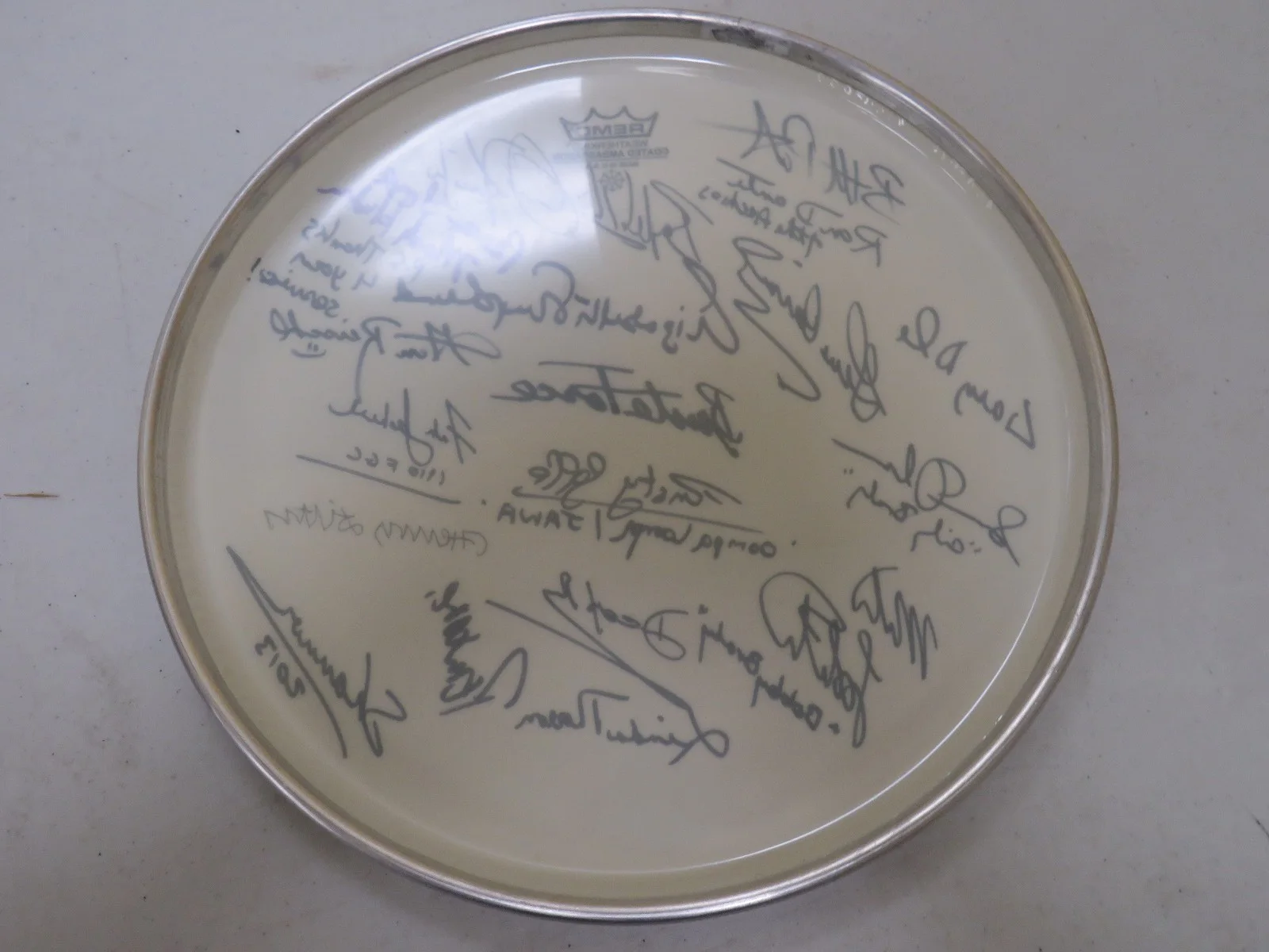 Signed Christopher Knight Susan Olsen Peter Noone Mike Lookinland Drum Head, image 2