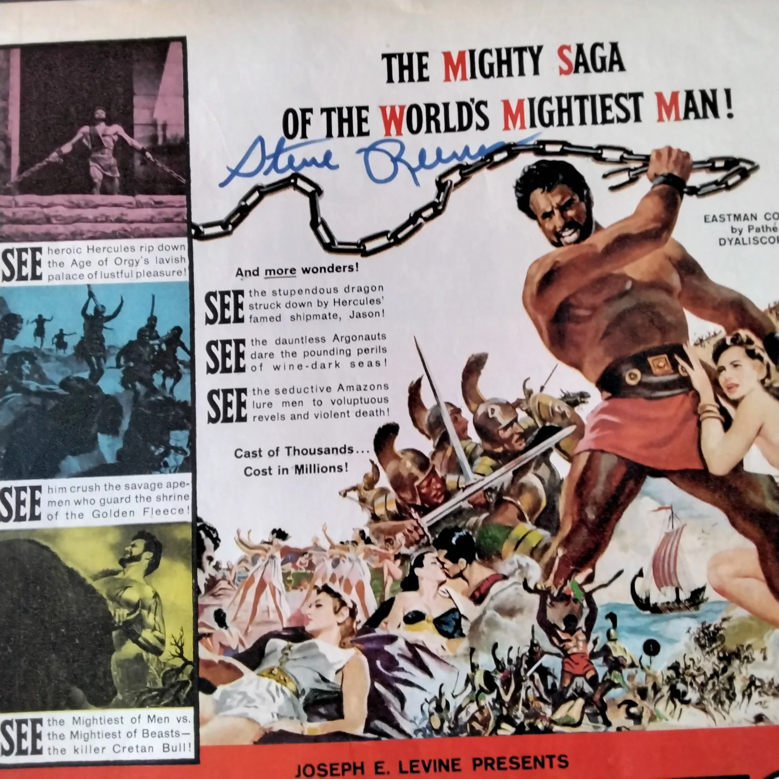 Steve Reeves SIGNED 1959 Movie Ad 50s Actor Hercules Bodybuilder Mr. Universe, image 5