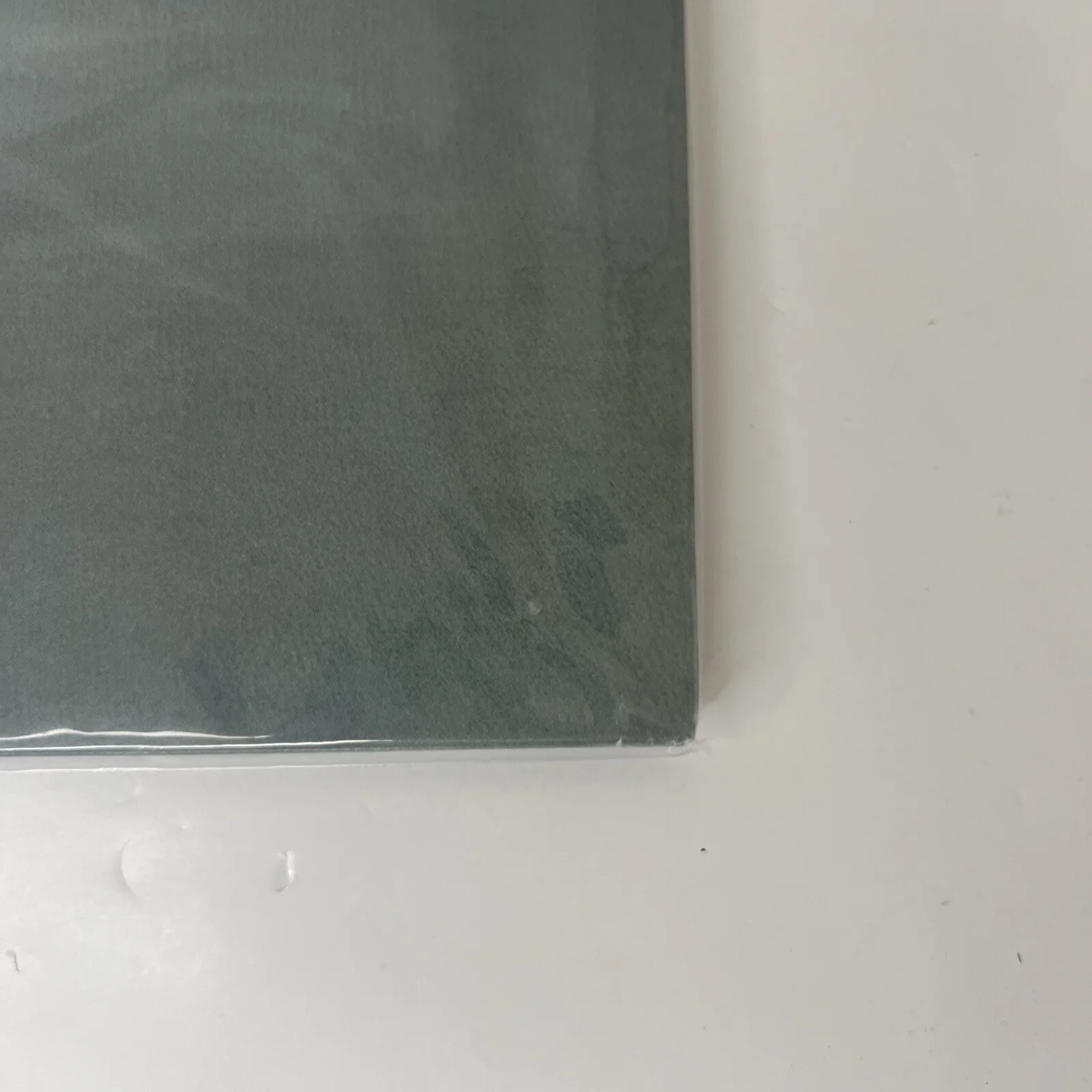 K.Flay Mono Signed Coke Bottle Clear Vinyl Autographed LP K. Flay Cover In Hand!, изображение 5