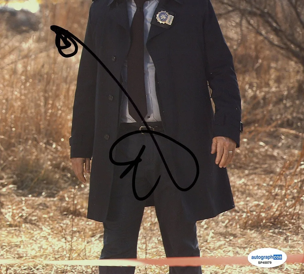 Donnie Wahlberg — Donnie Wahlberg signed "BLUE BLOODS" 8x10 Photo f EXT PROOF Boston Blue ACOA COA, изображение 5