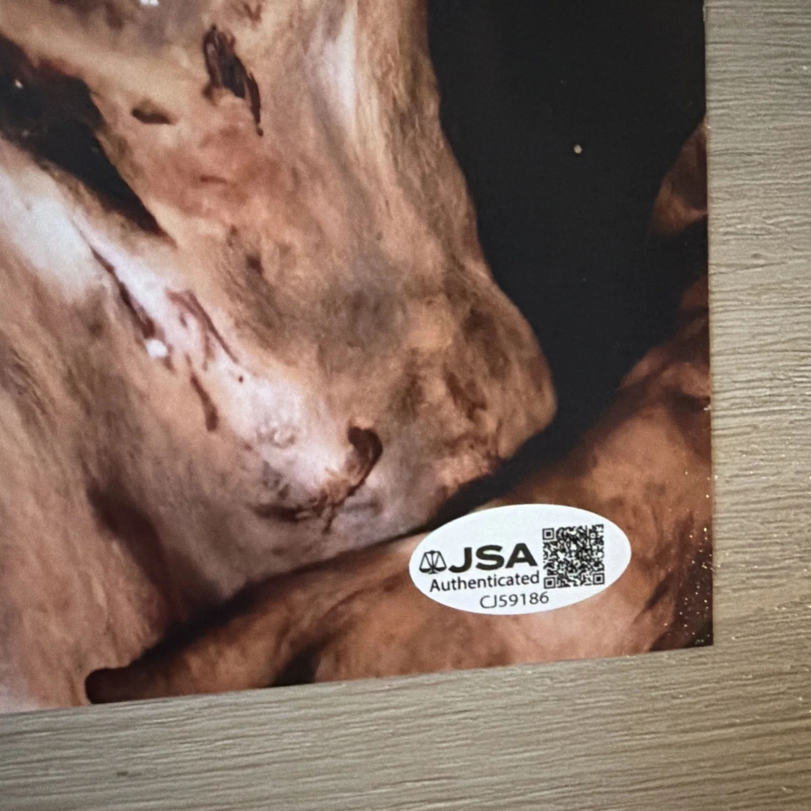 Ted Raimi signed Evil Dead 8x10 JSA Authenticated Autograph, image 3