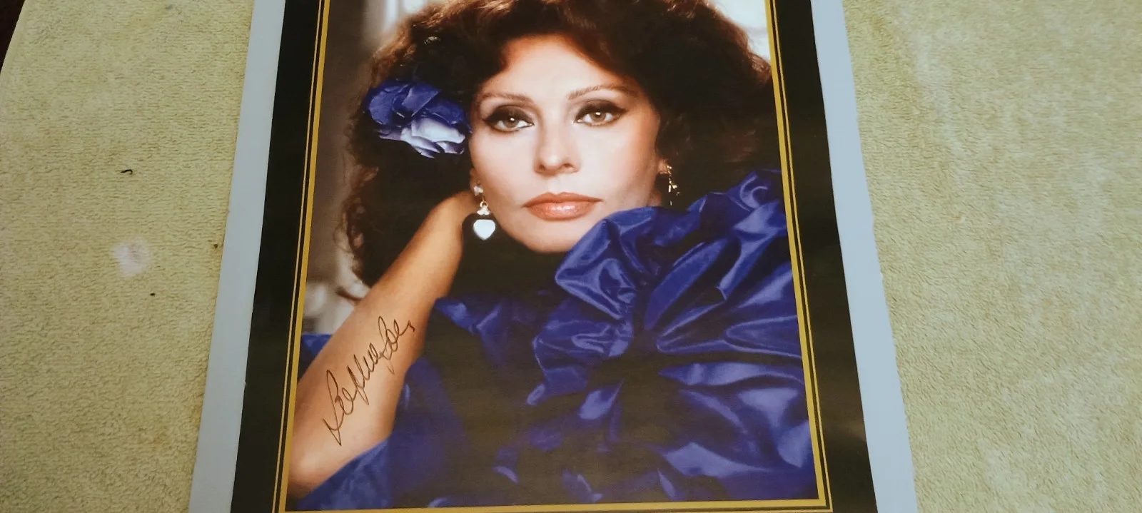 Sophia Loren SIGNED PHOTO Gorgeous 11x17 Poster From A Private Event, изображение 3